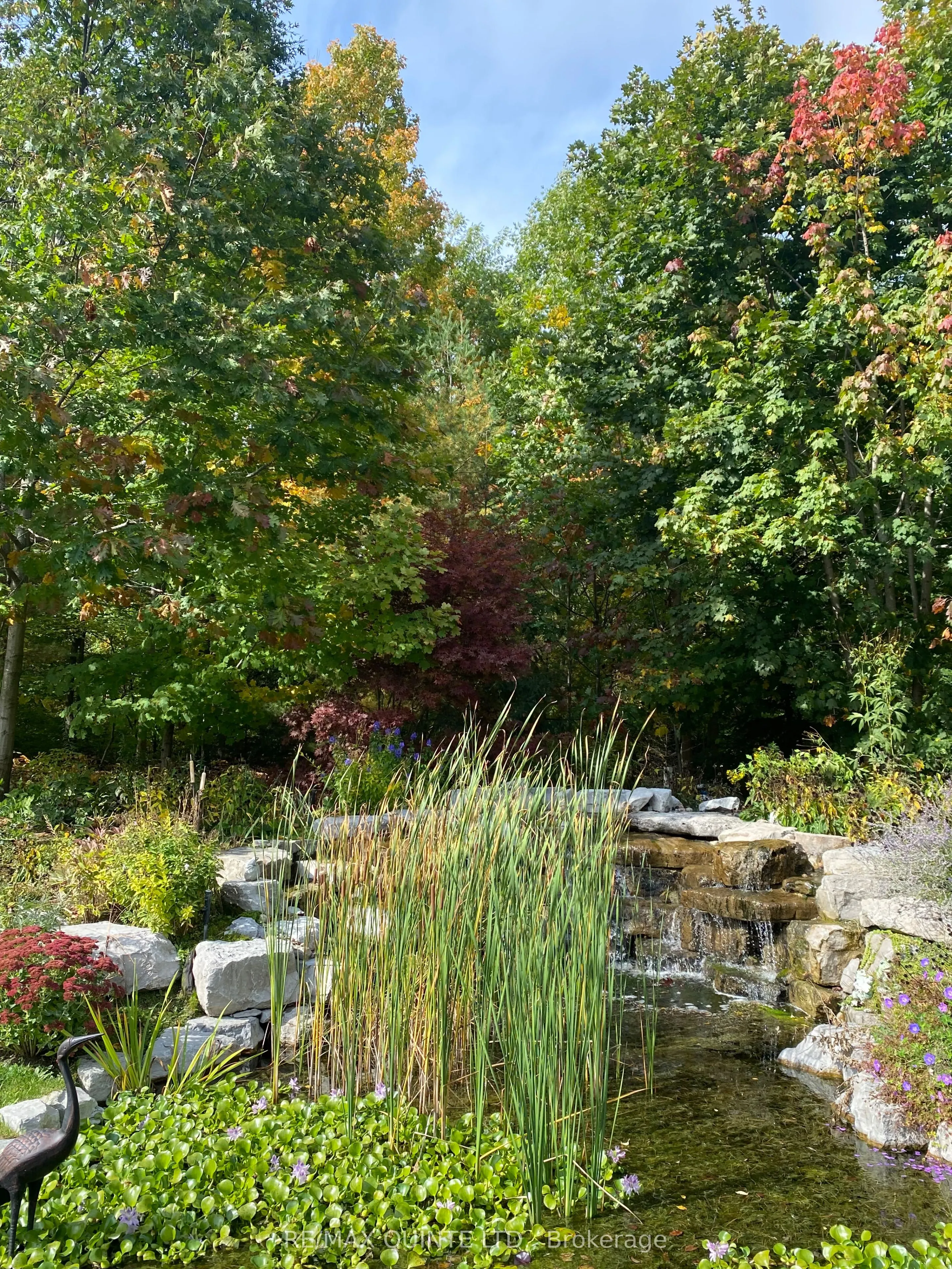 2 Treeview Avenue