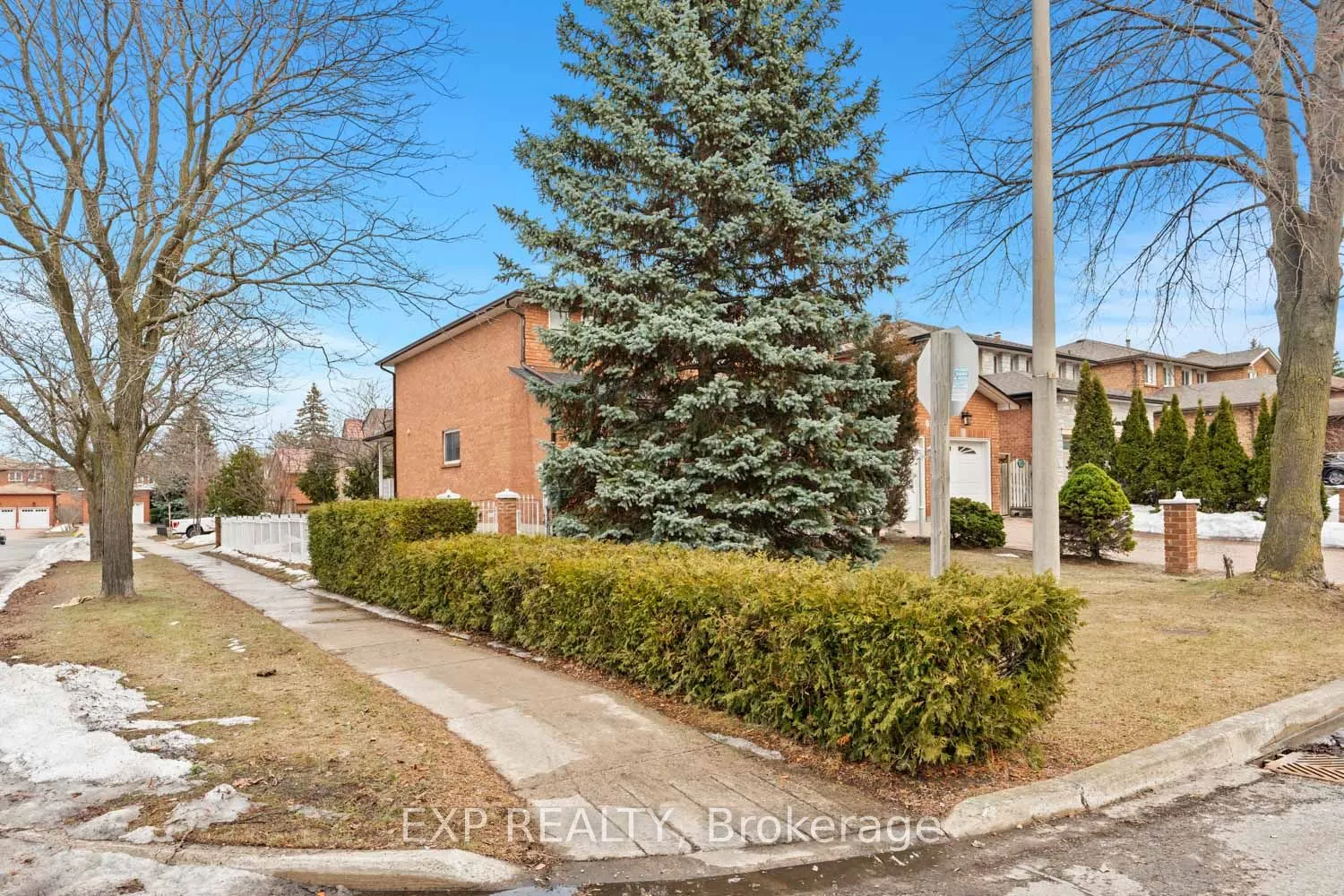 61 Dundee Crescent