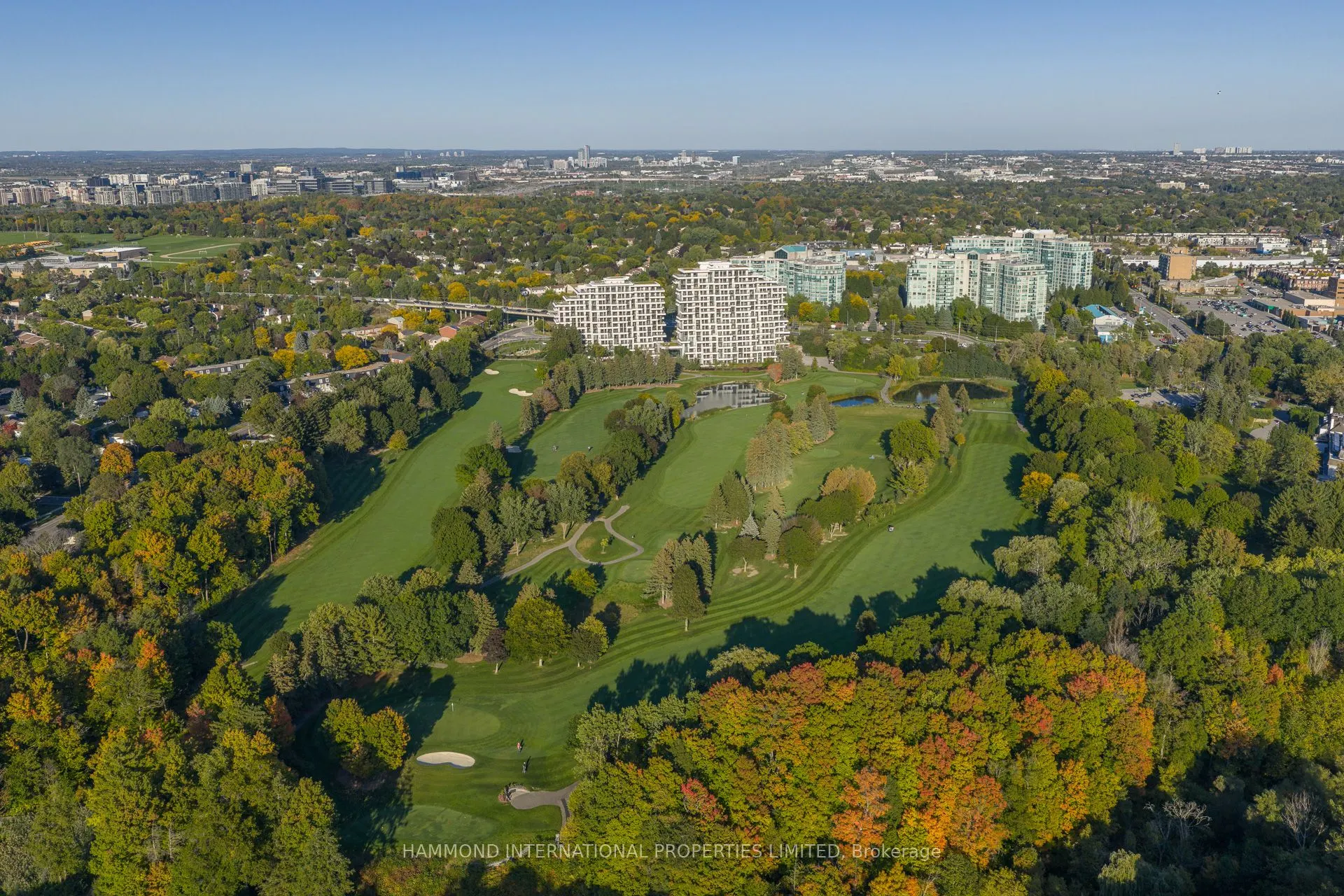 397 Royal Orchard Boulevard #706