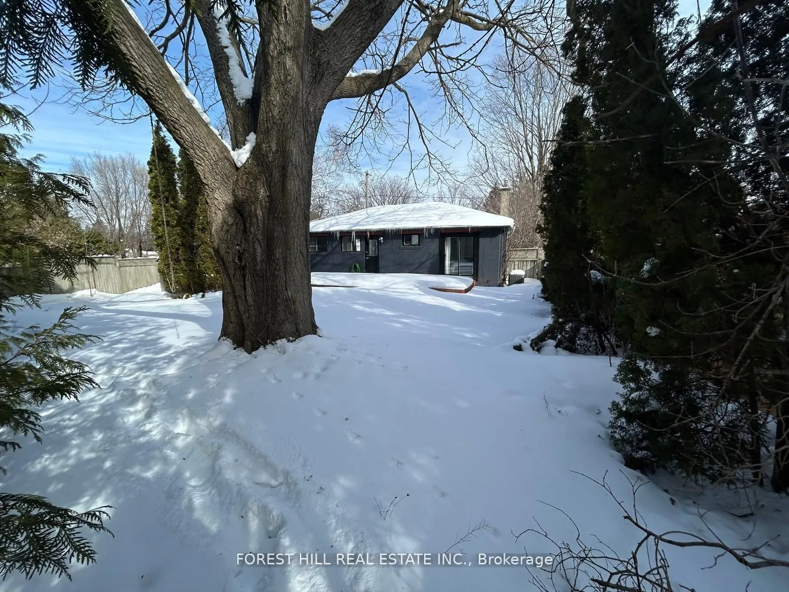 1 Willis Drive
