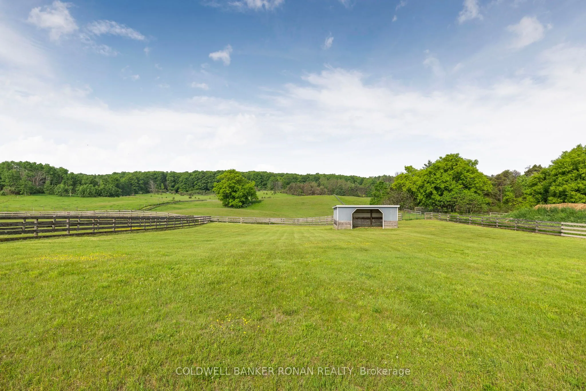 1604 Concession Rd 8