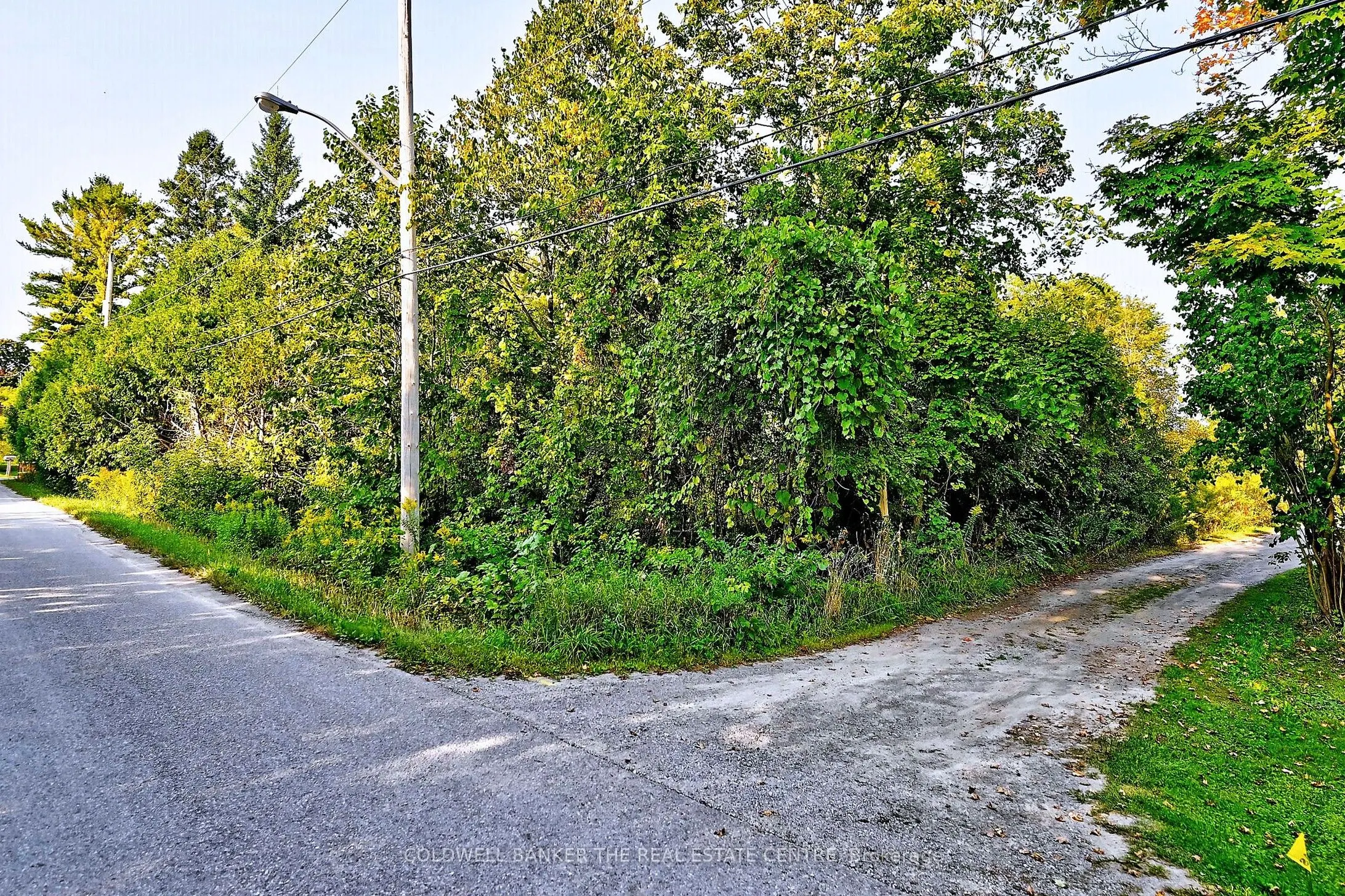 20805 Brock Road