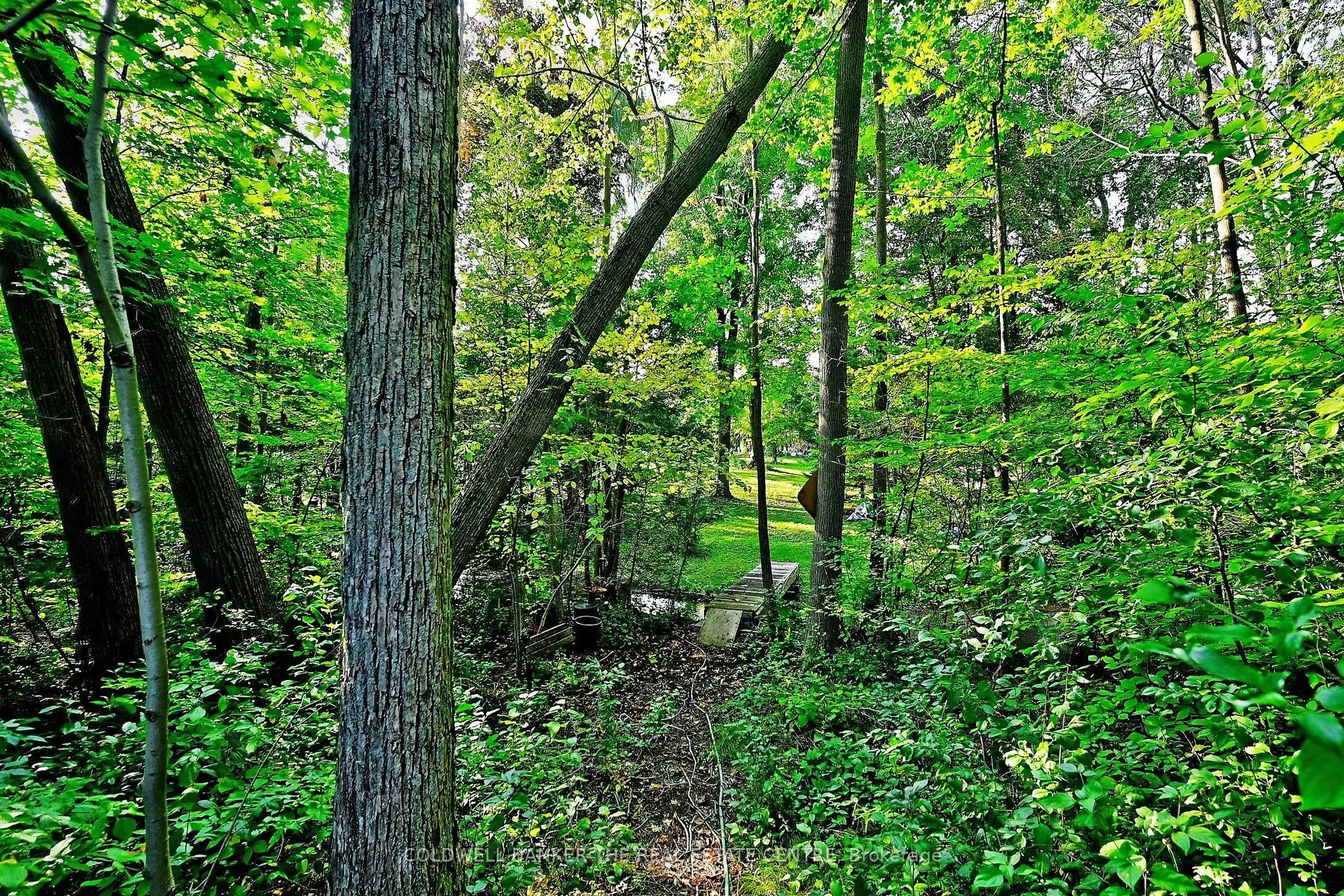 20805 Brock Road