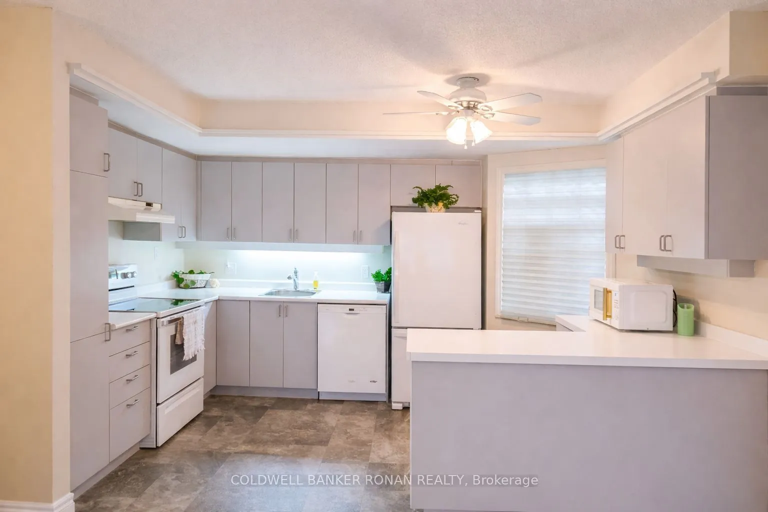 77 Mill Street #24