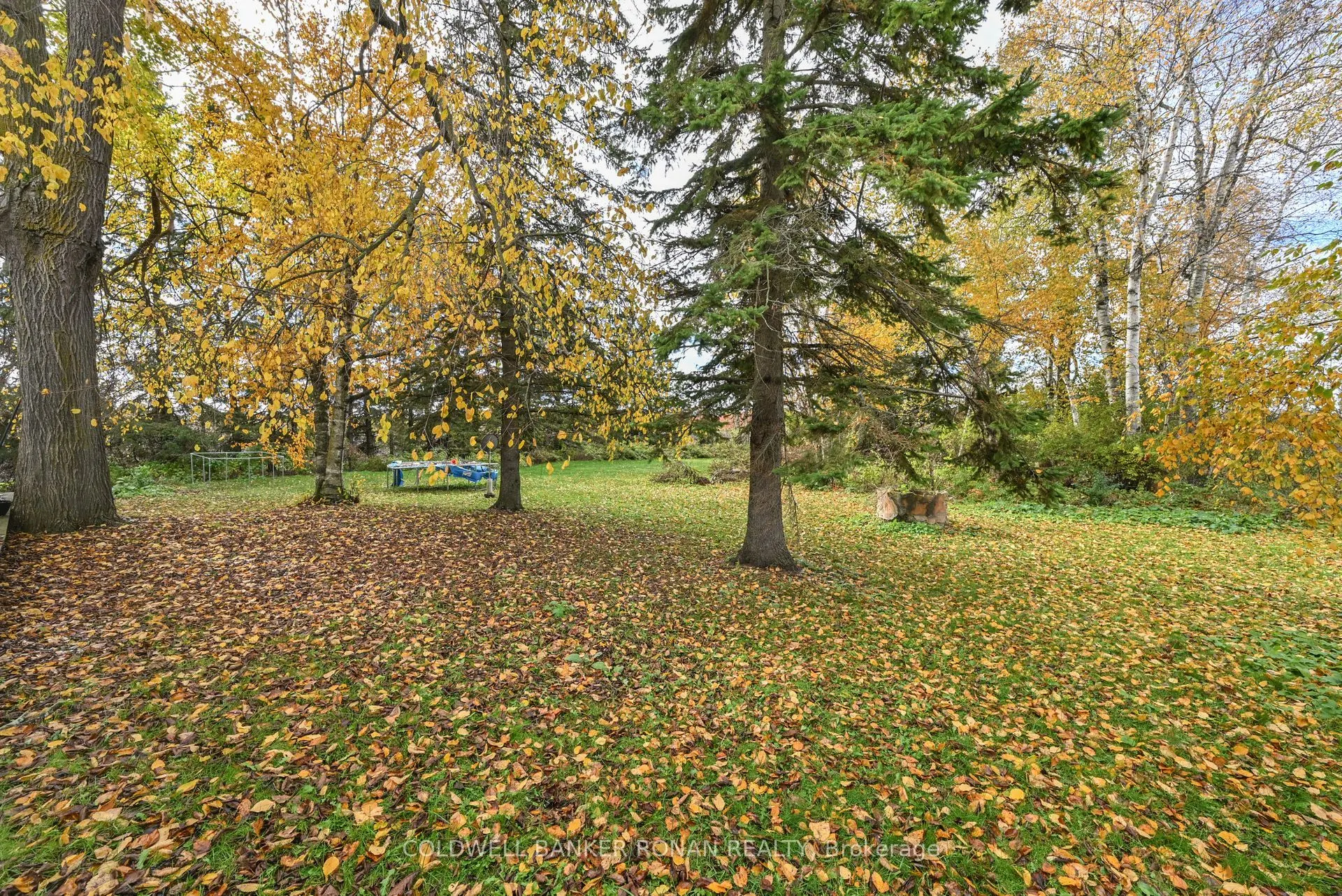 6336 Concession Road 7