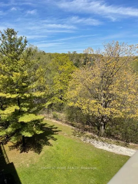 2506 Rutherford Road #501