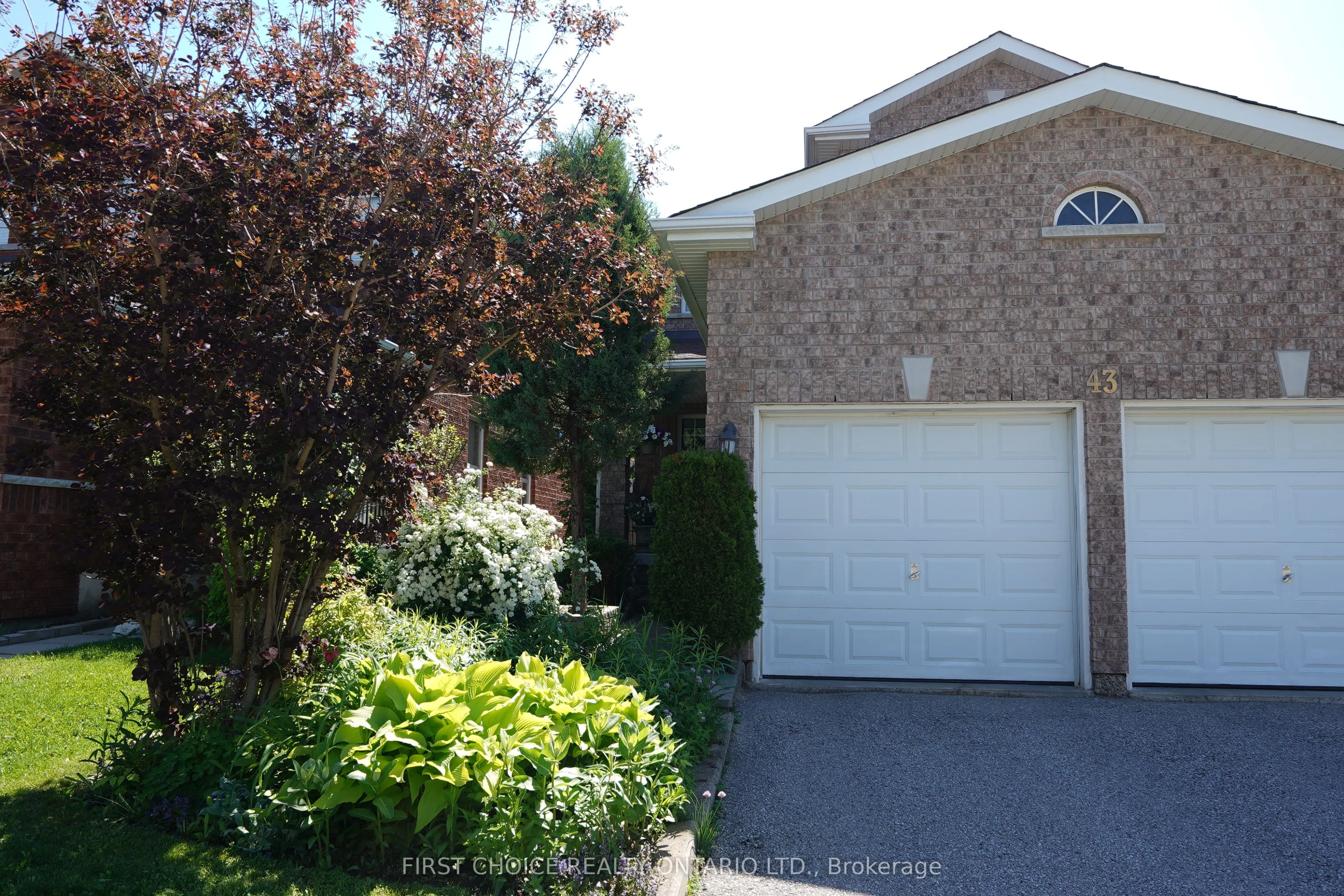 43 Buchanan Drive