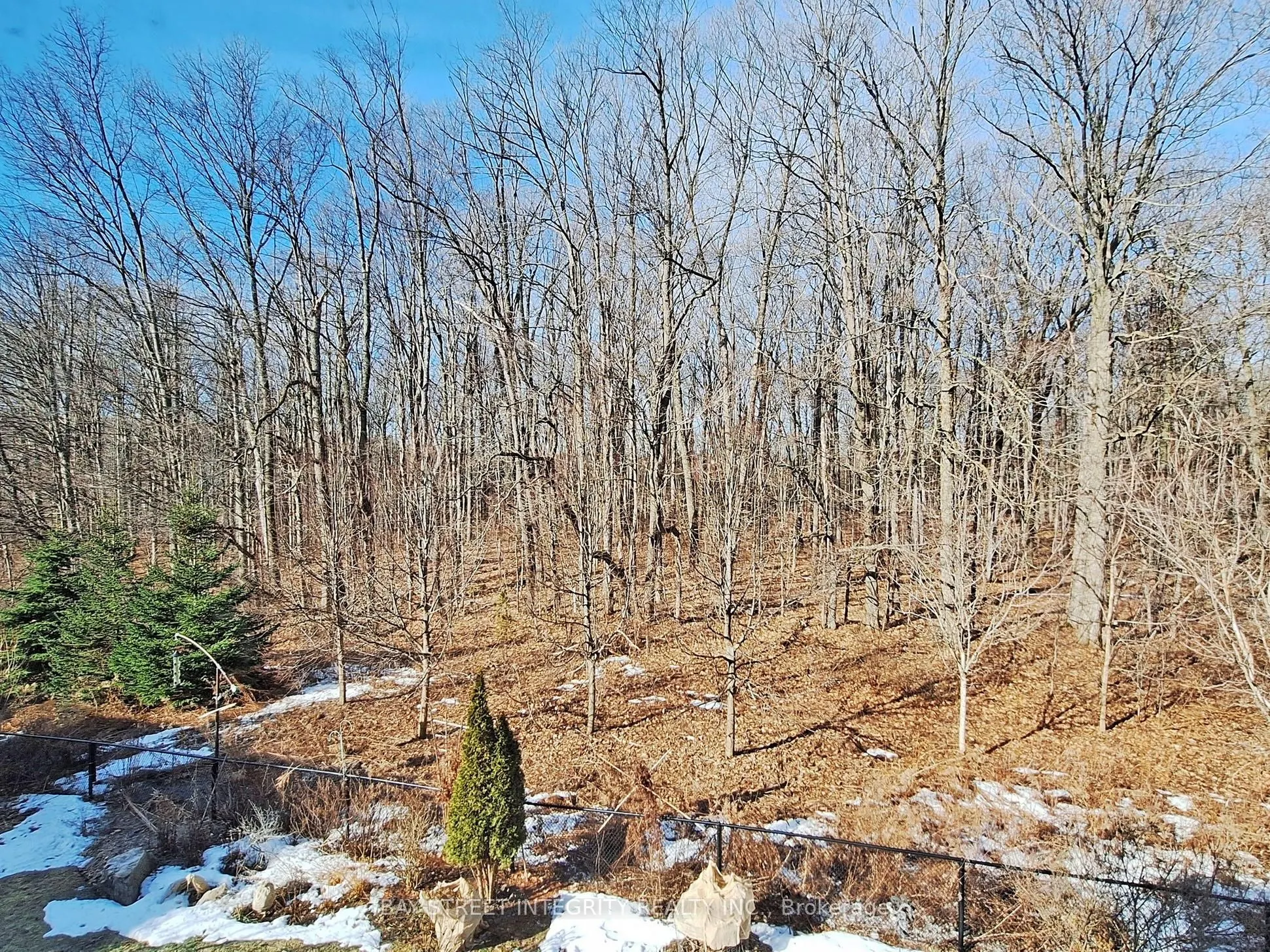 57 Strawbridge Farm Drive