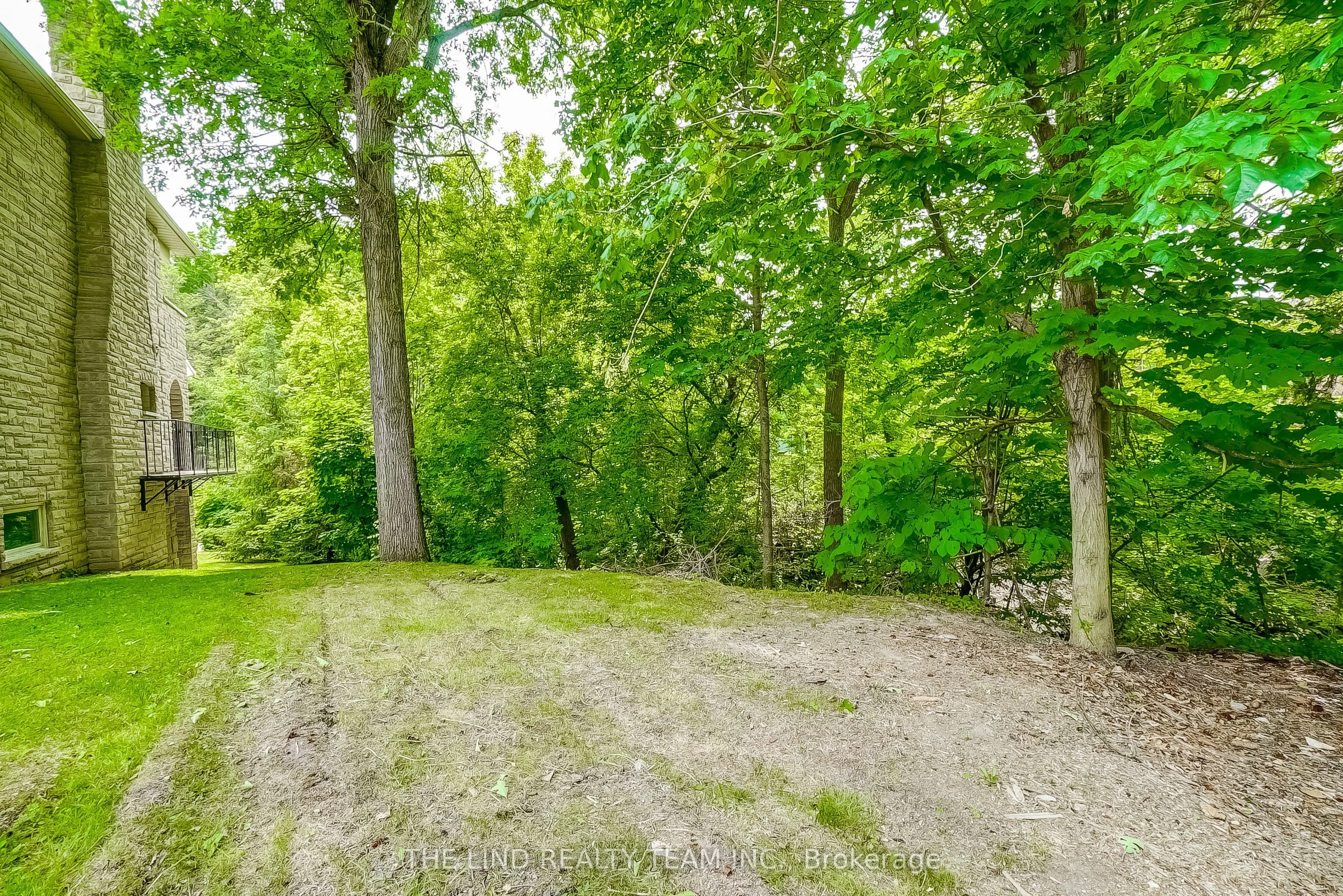 99 Birch Avenue