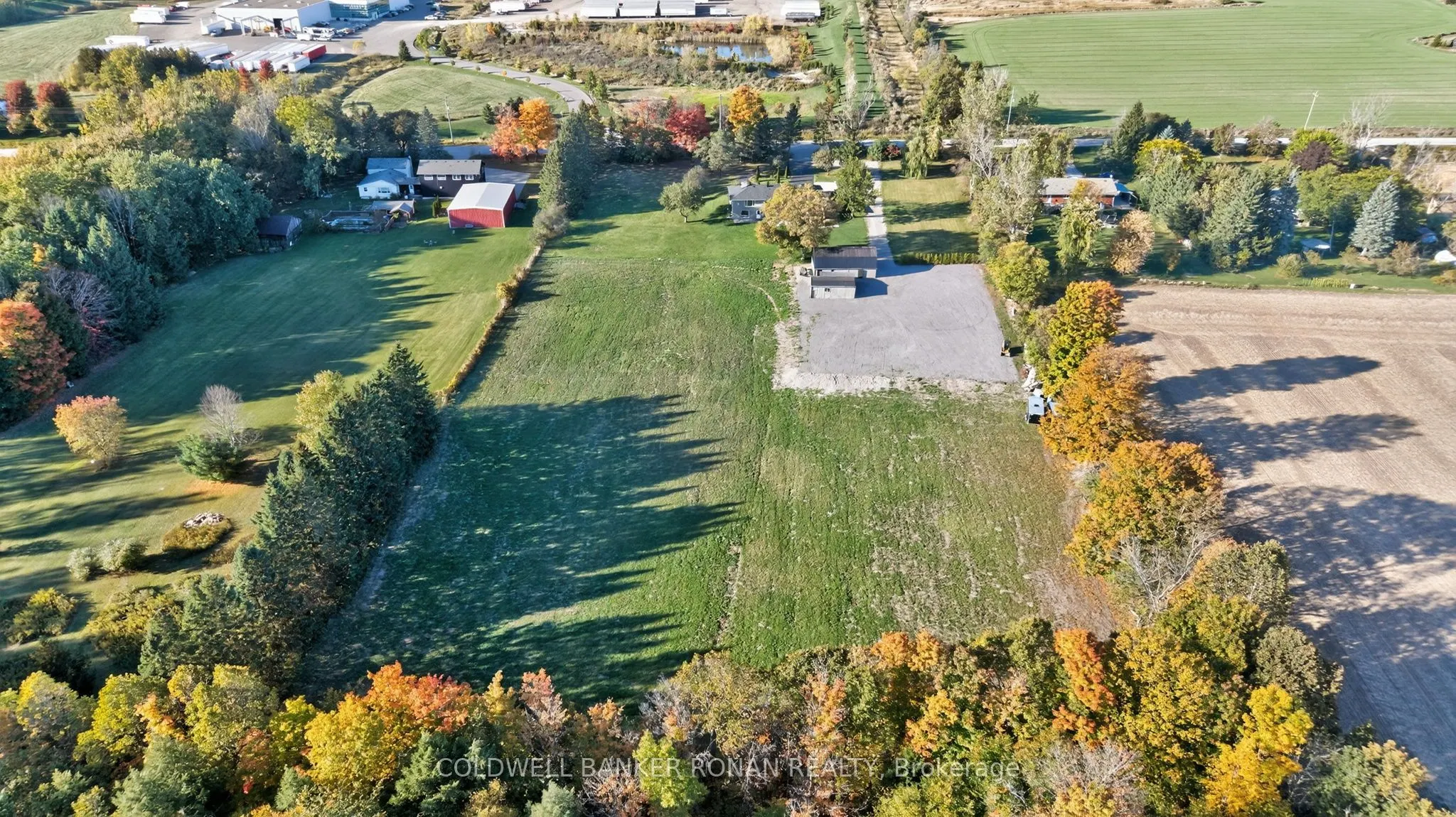 5697 2nd Line, New Tecumseth | MLS® N12976162
