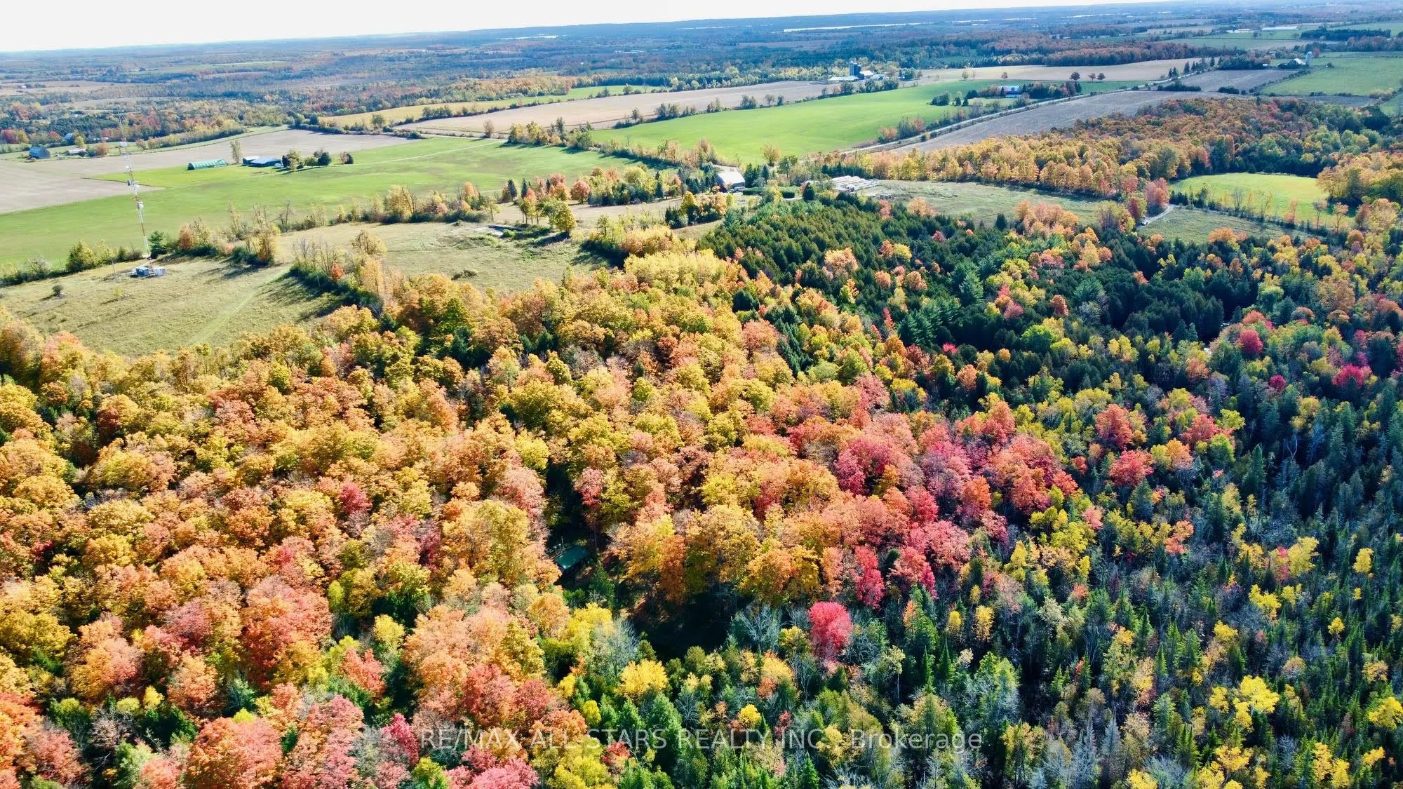 14200 Sideroad 18