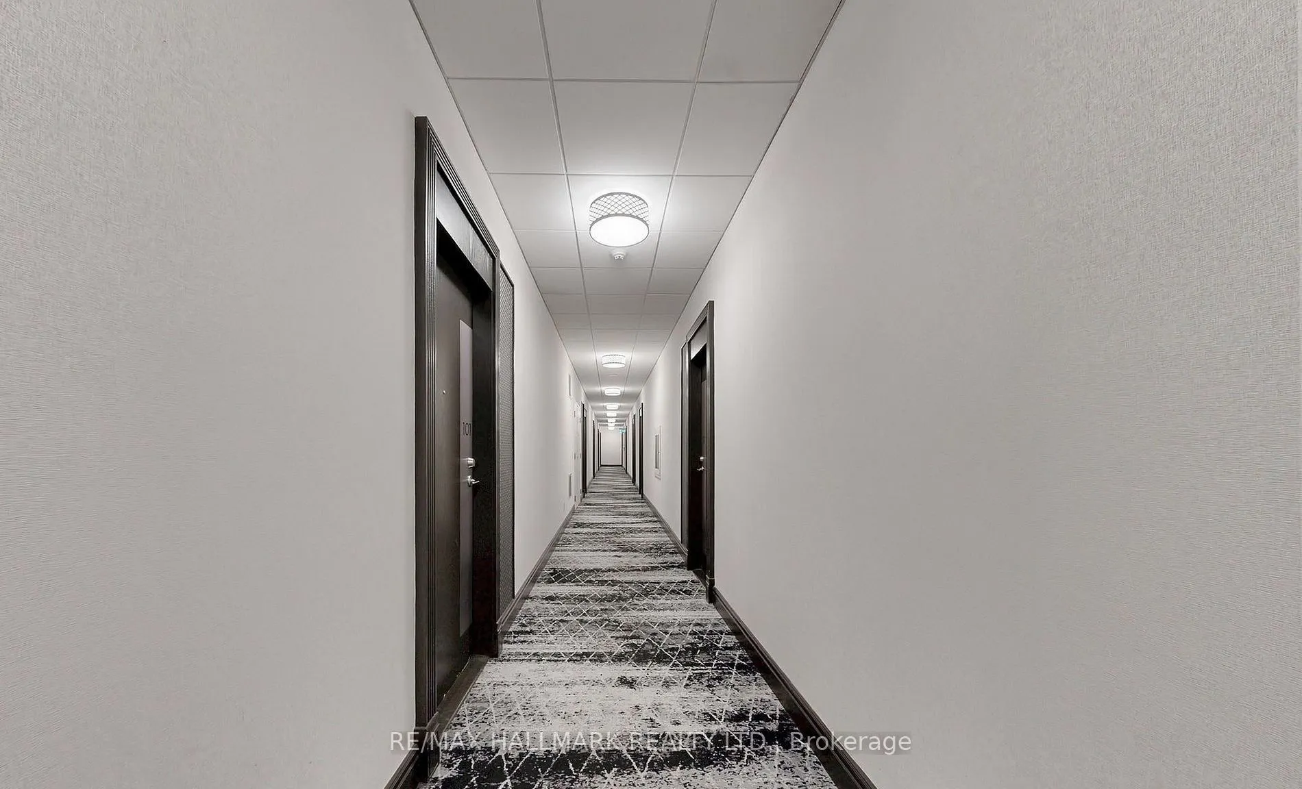 3 Ellesmere Street #215