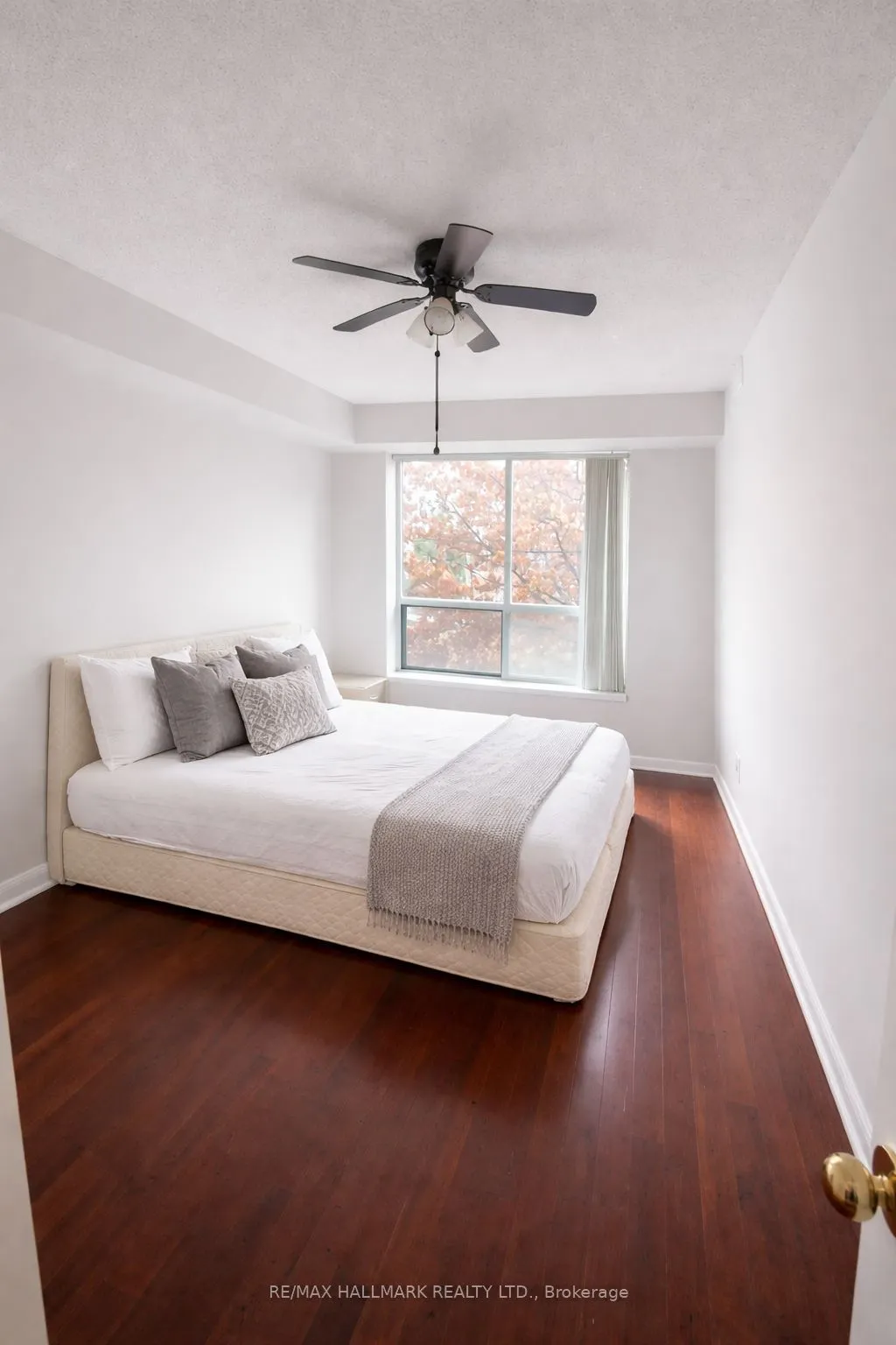 3 Ellesmere Street #215