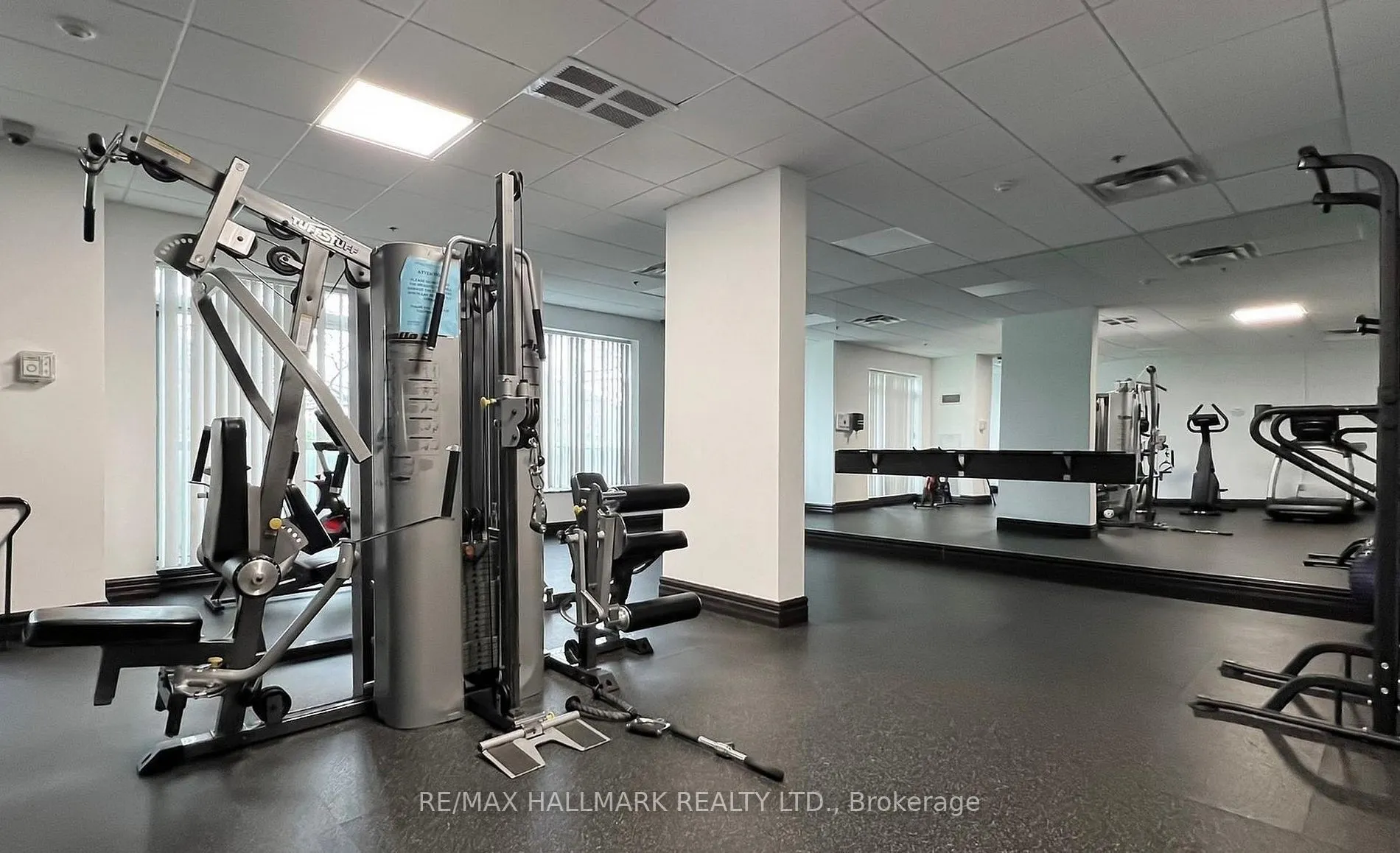 3 Ellesmere Street #215