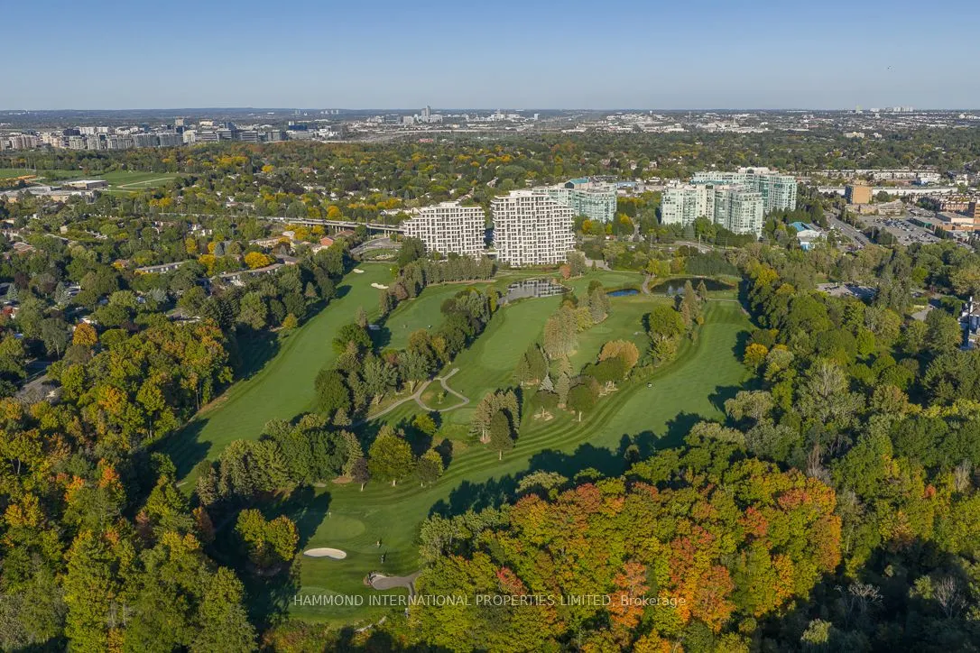 397 Royal Orchard Boulevard #706