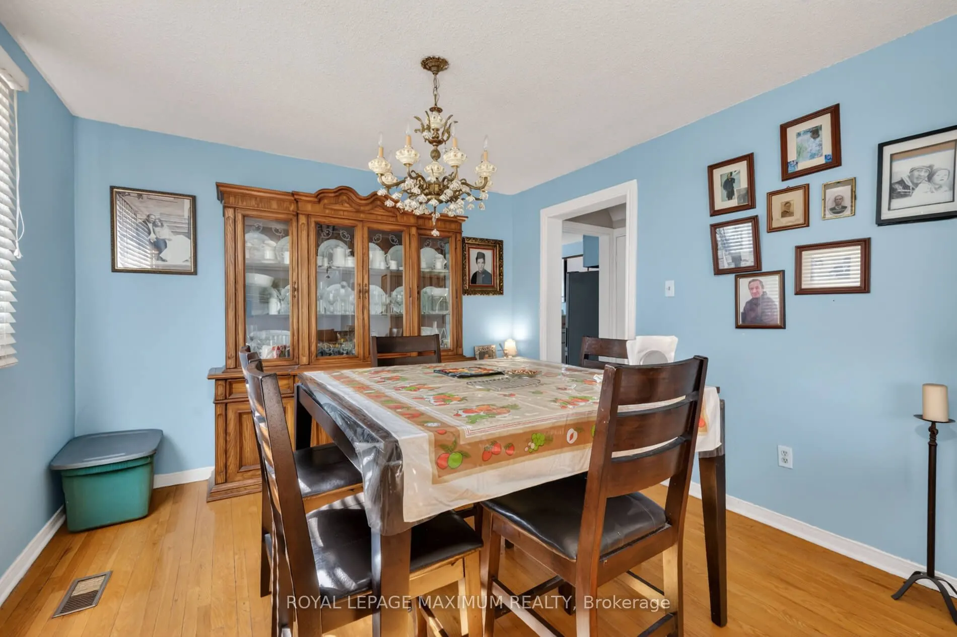 3 Muzzo Court