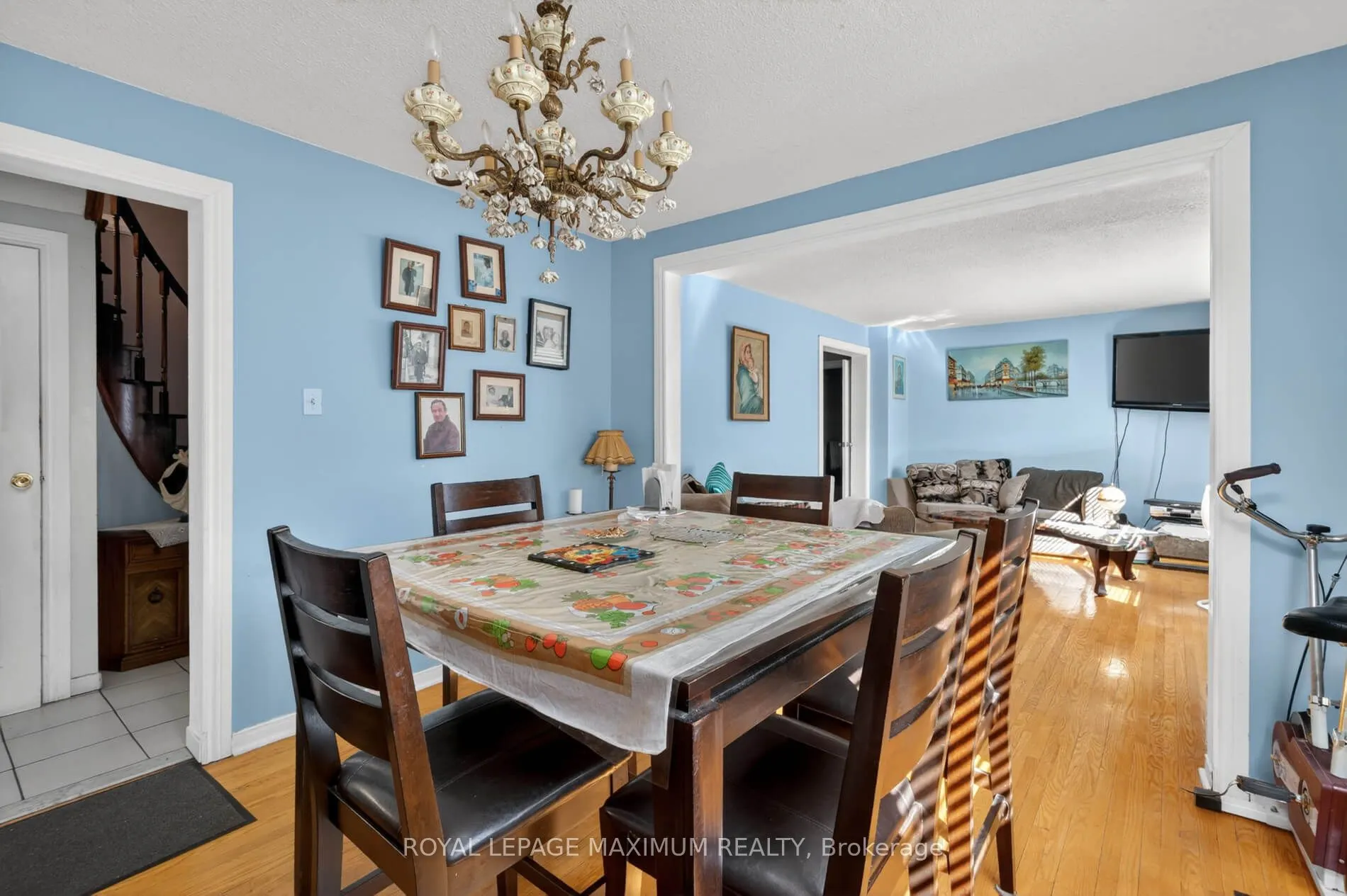 3 Muzzo Court