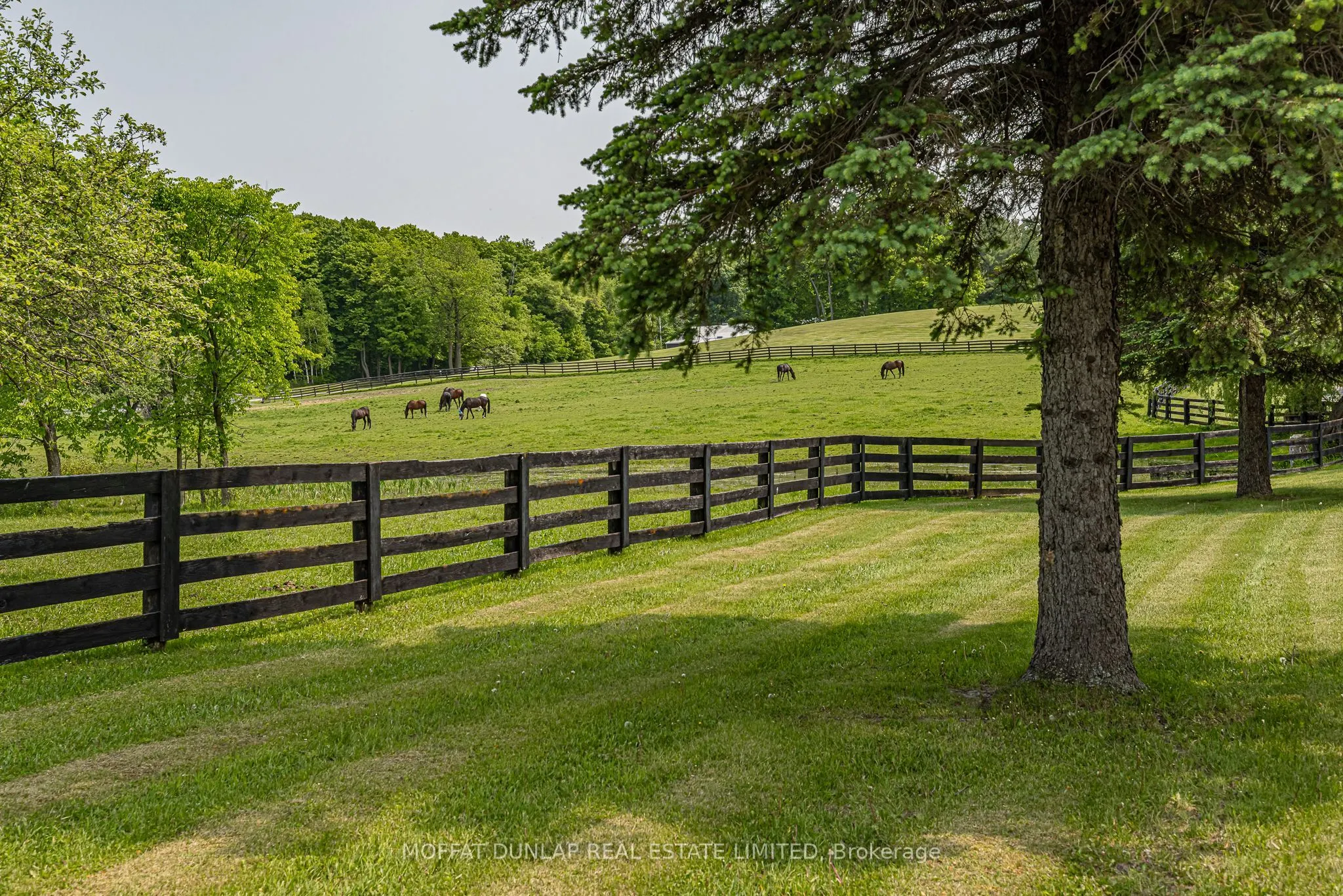 2065 19th Side Road