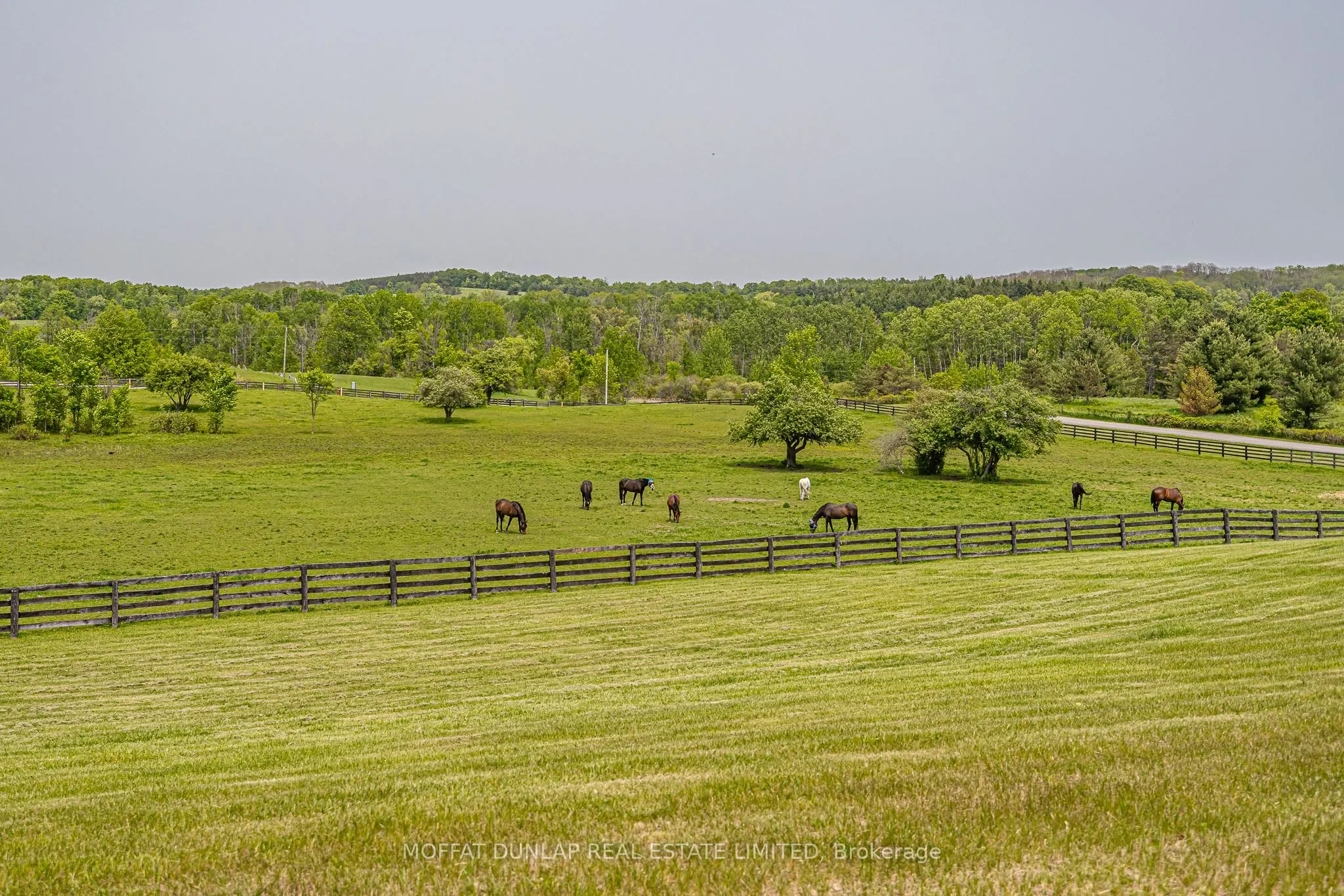 2065 19th Side Road