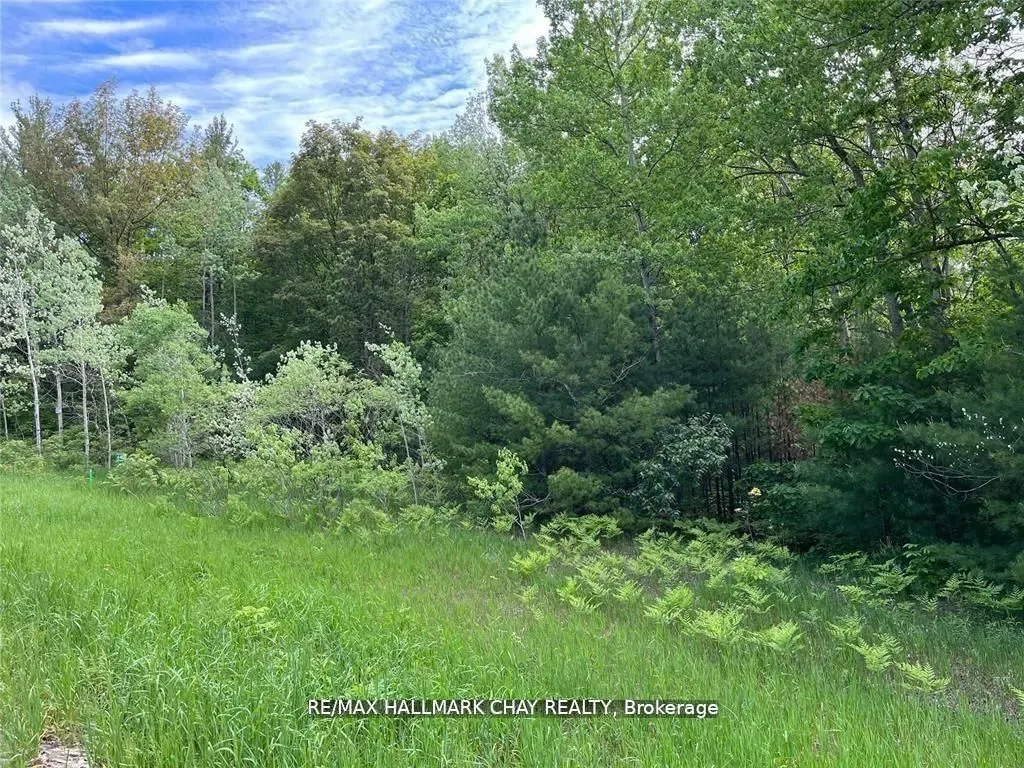 6411 Concession 4 Road