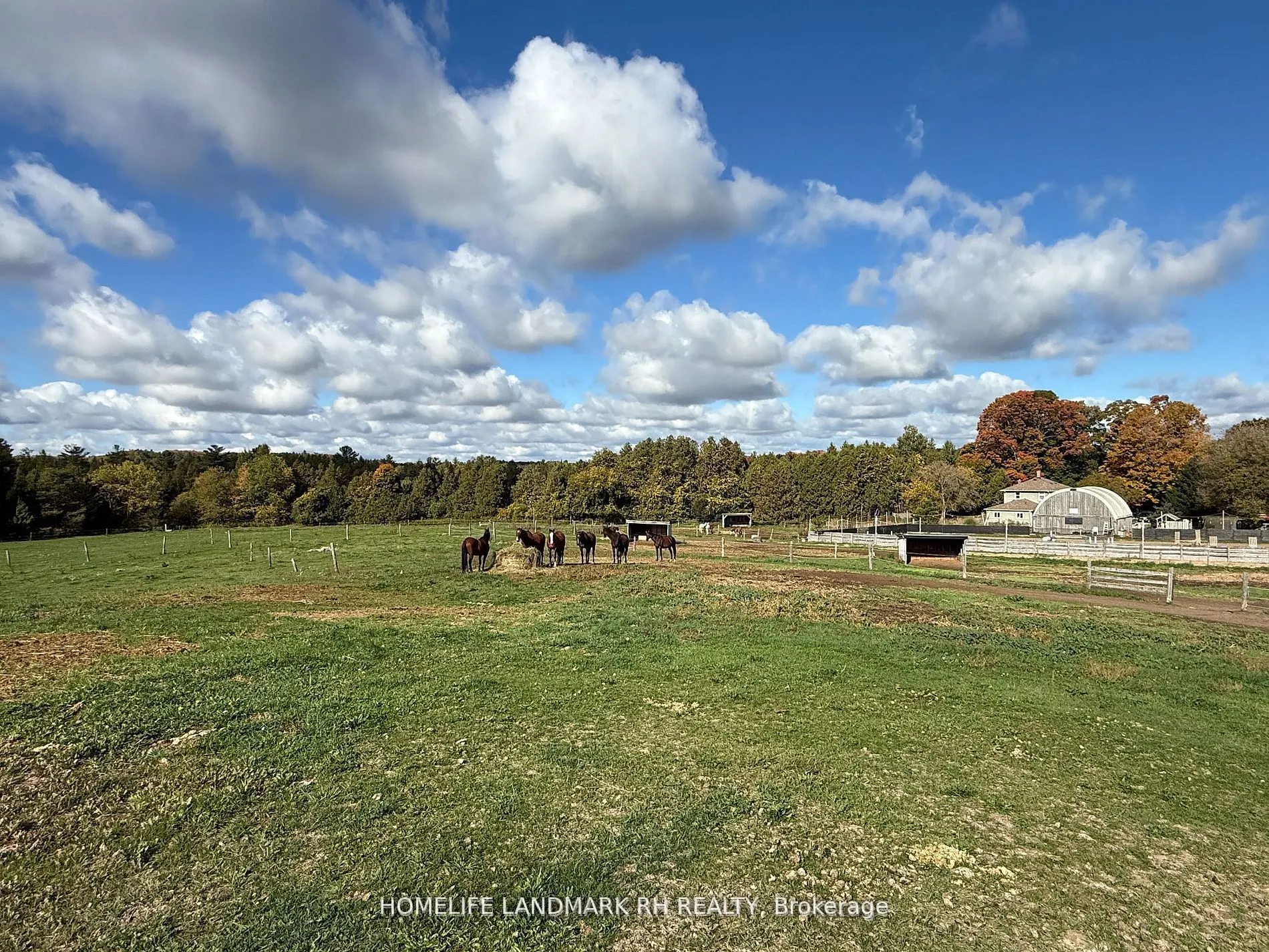 5031 Herald Road