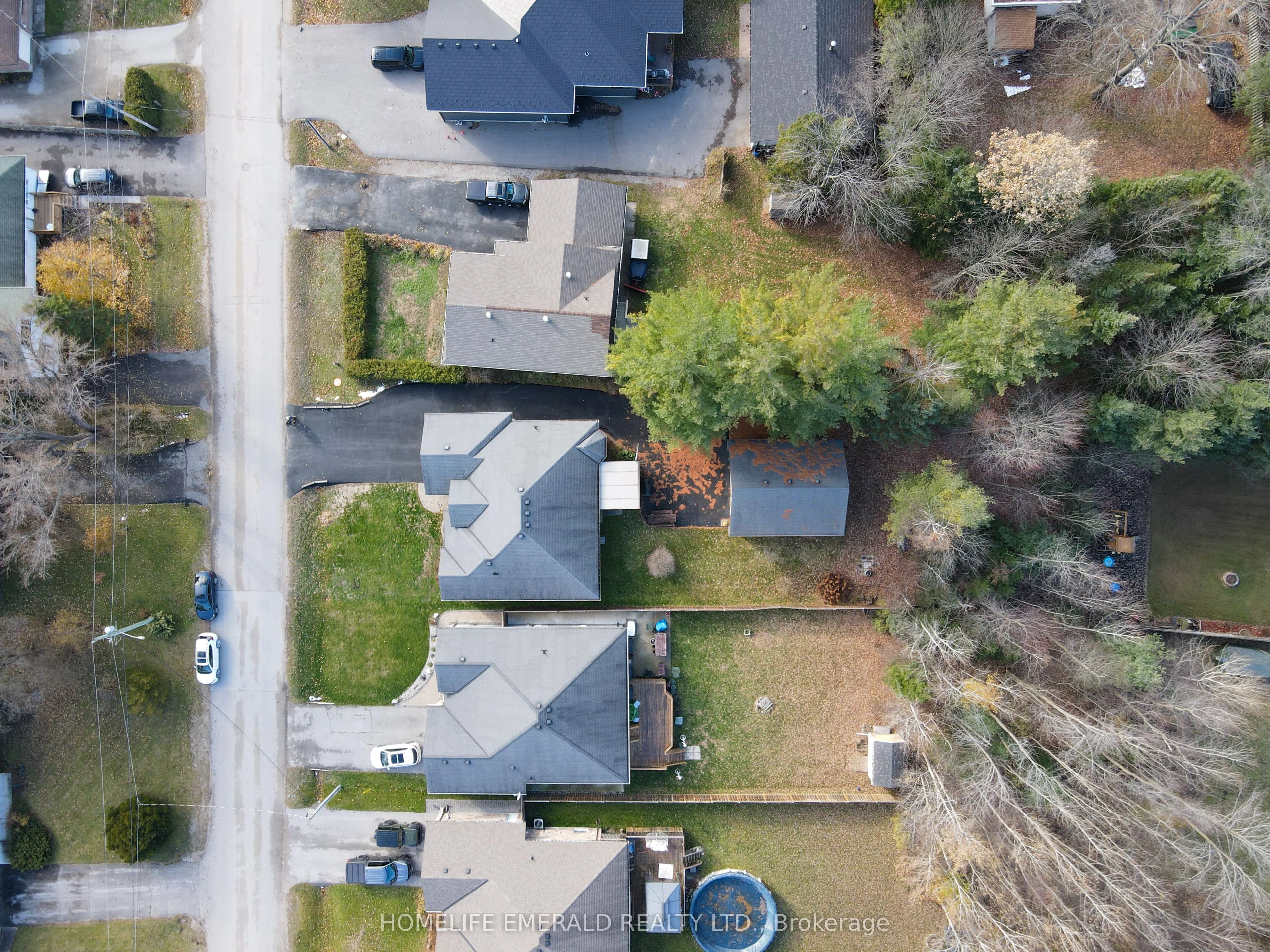 17 Tree Top Street
