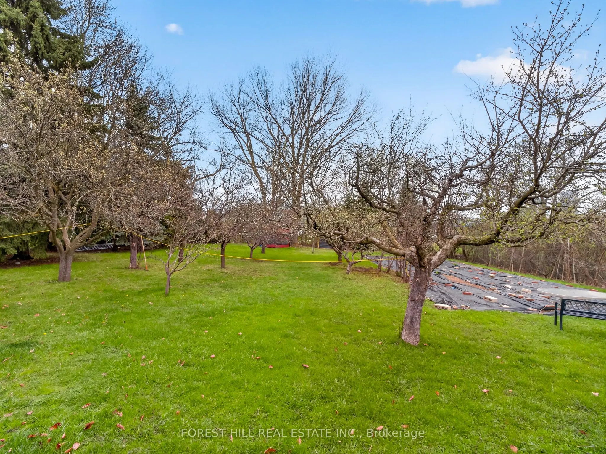 27 Vaughan Boulevard