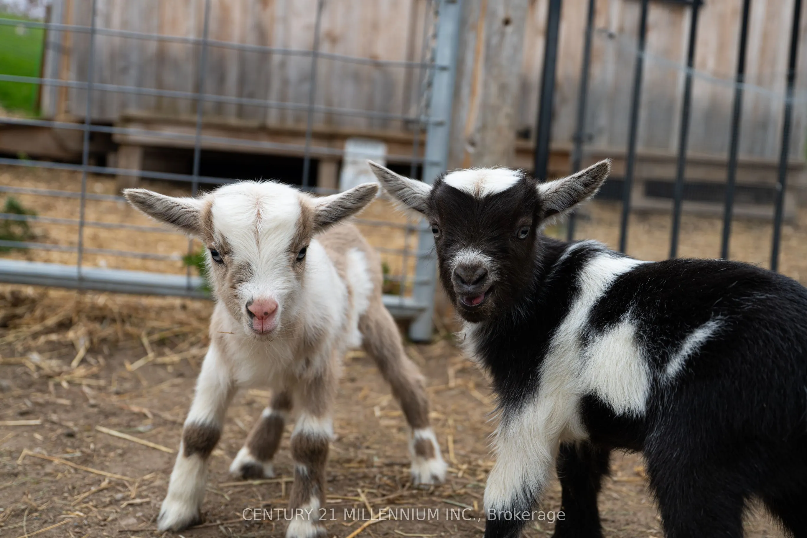 6046 3rd Line