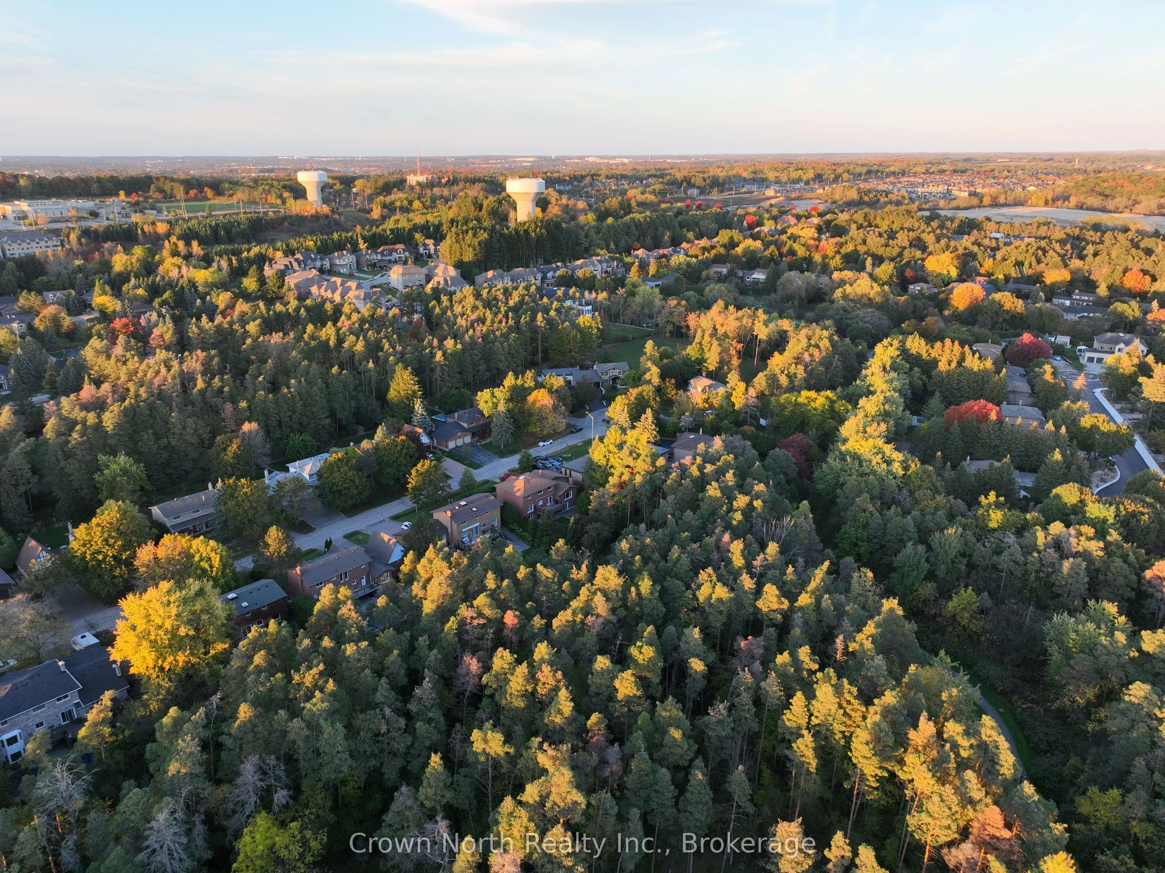 17 Black Willow Court
