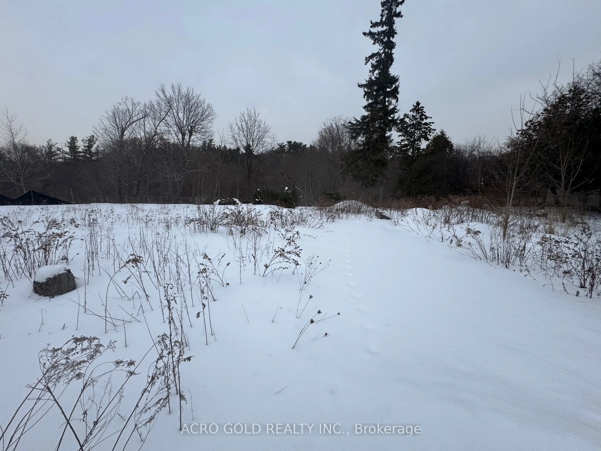 8519 Islington Avenue