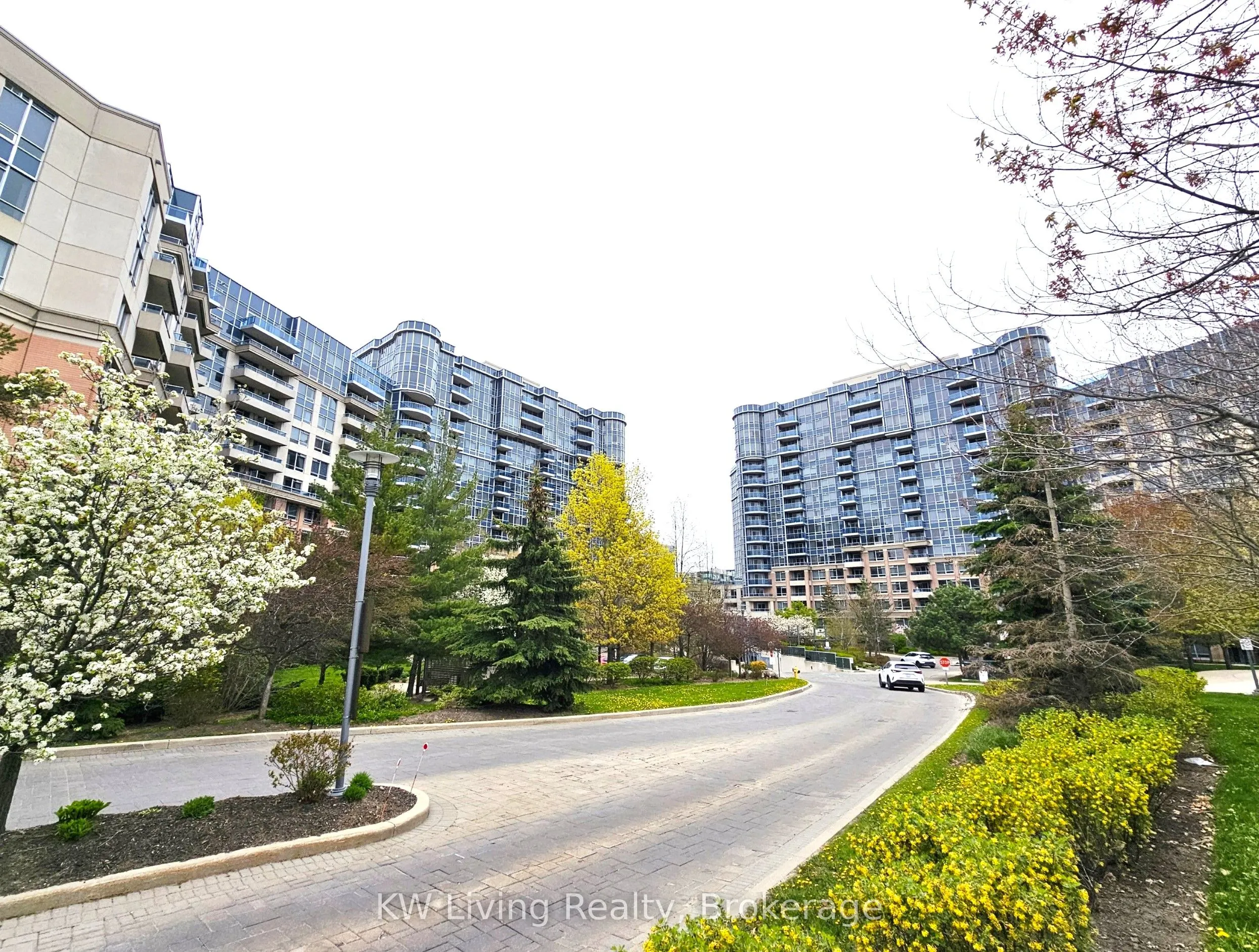 33 Cox Boulevard #1117