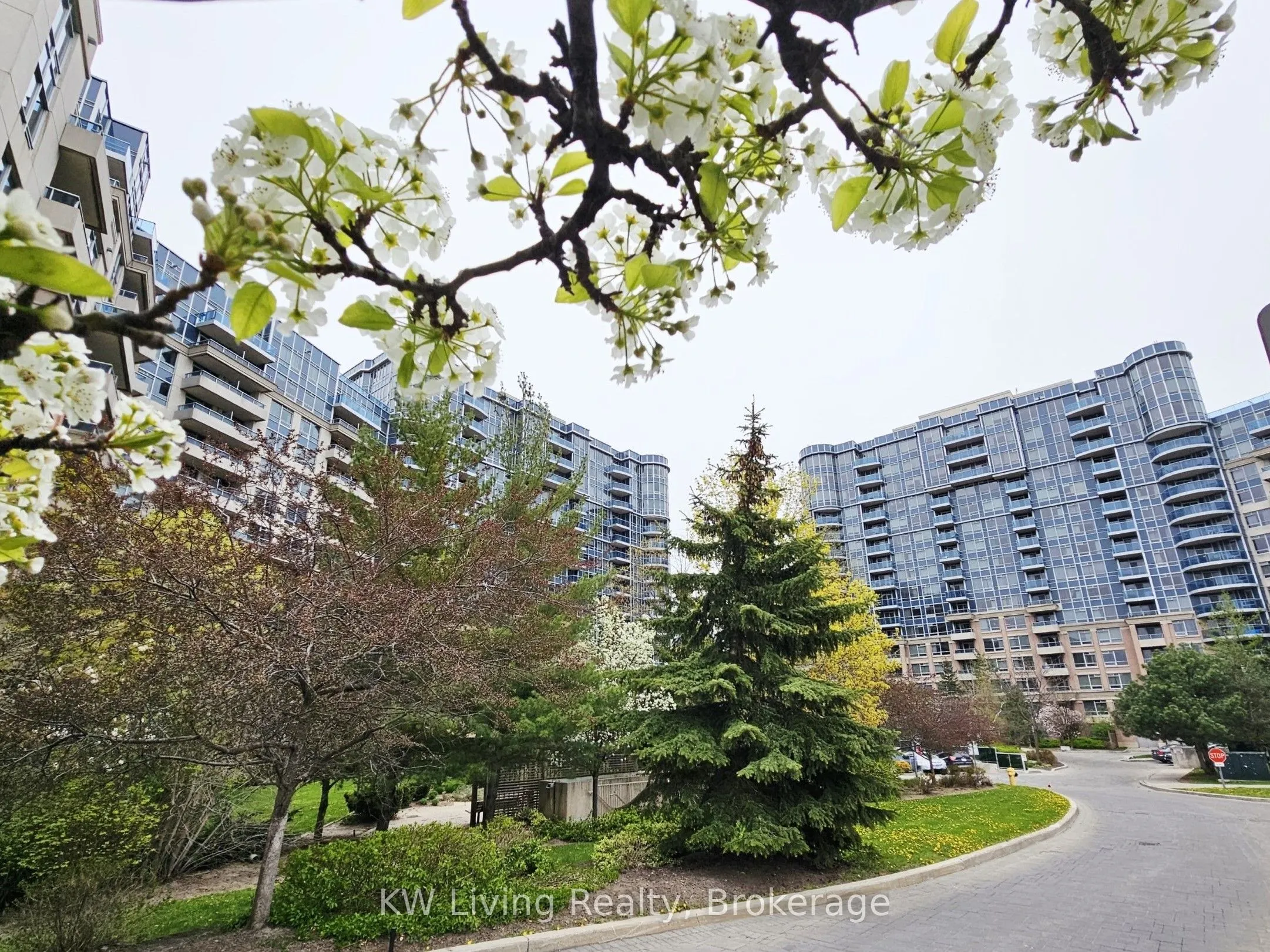 33 Cox Boulevard #1117