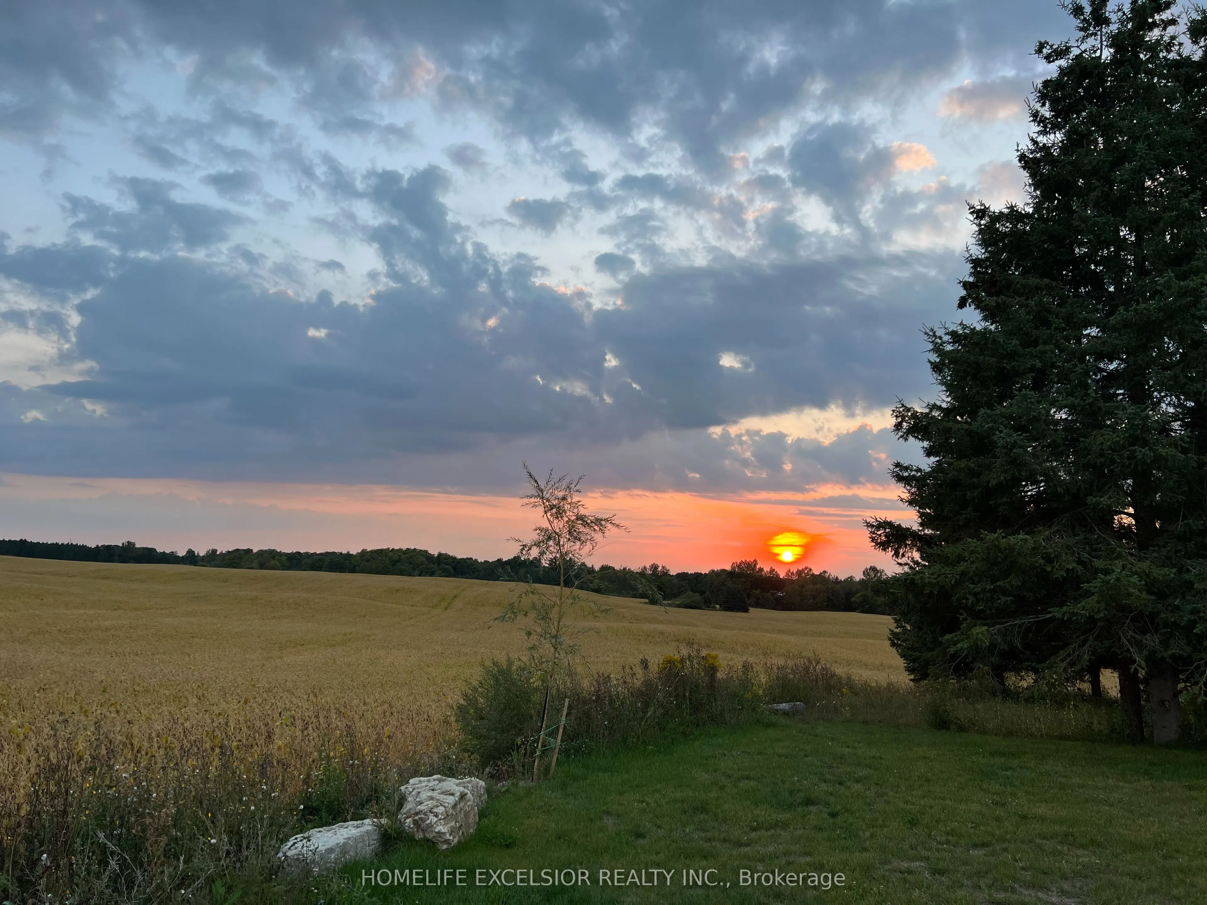 14428 Mccowan Road