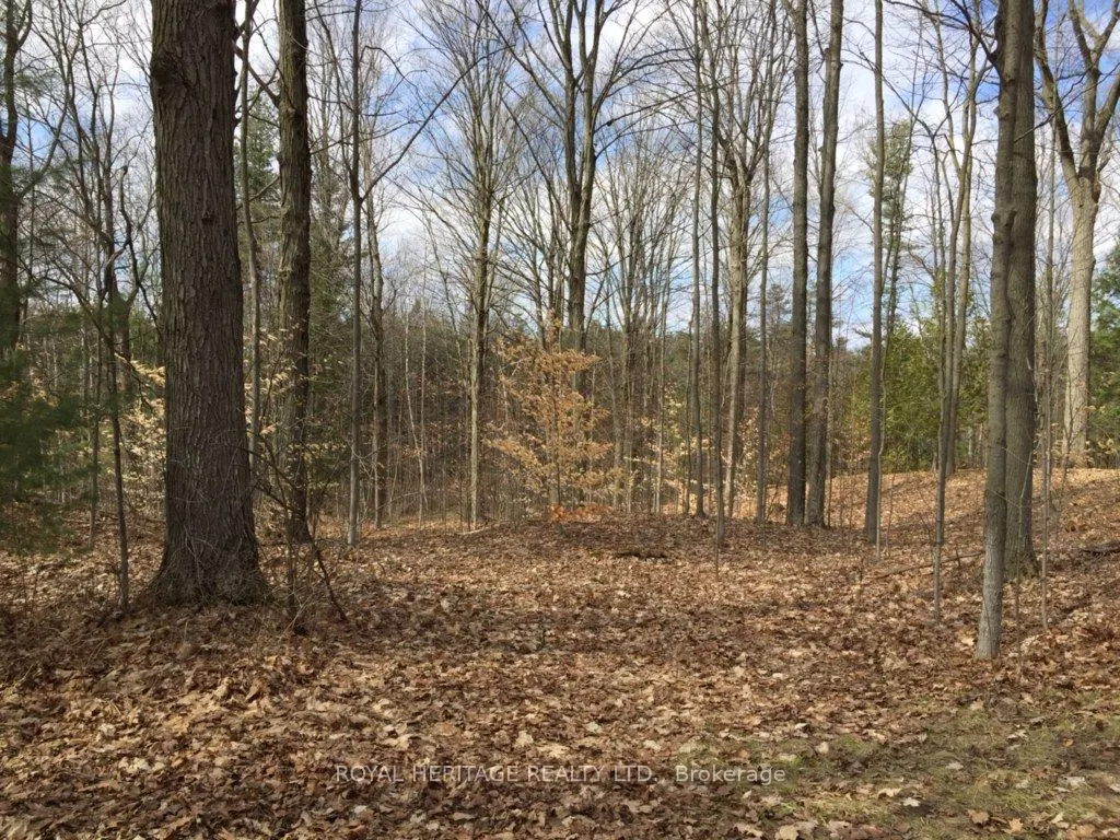 6677 CONCESSION 2 Road