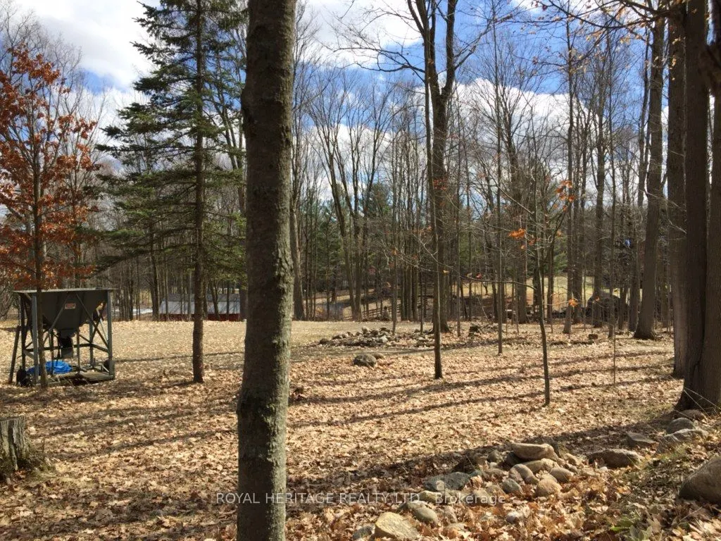 6677 CONCESSION 2 Road