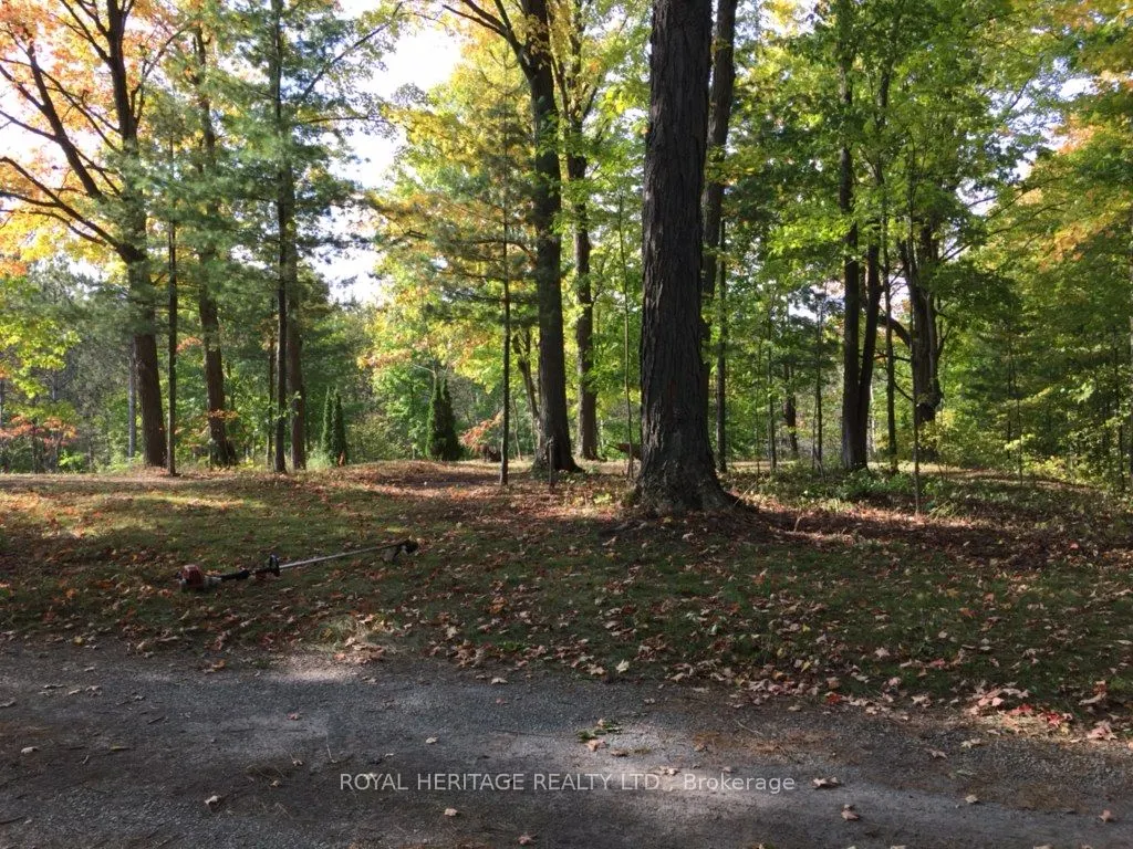 6677 CONCESSION 2 Road