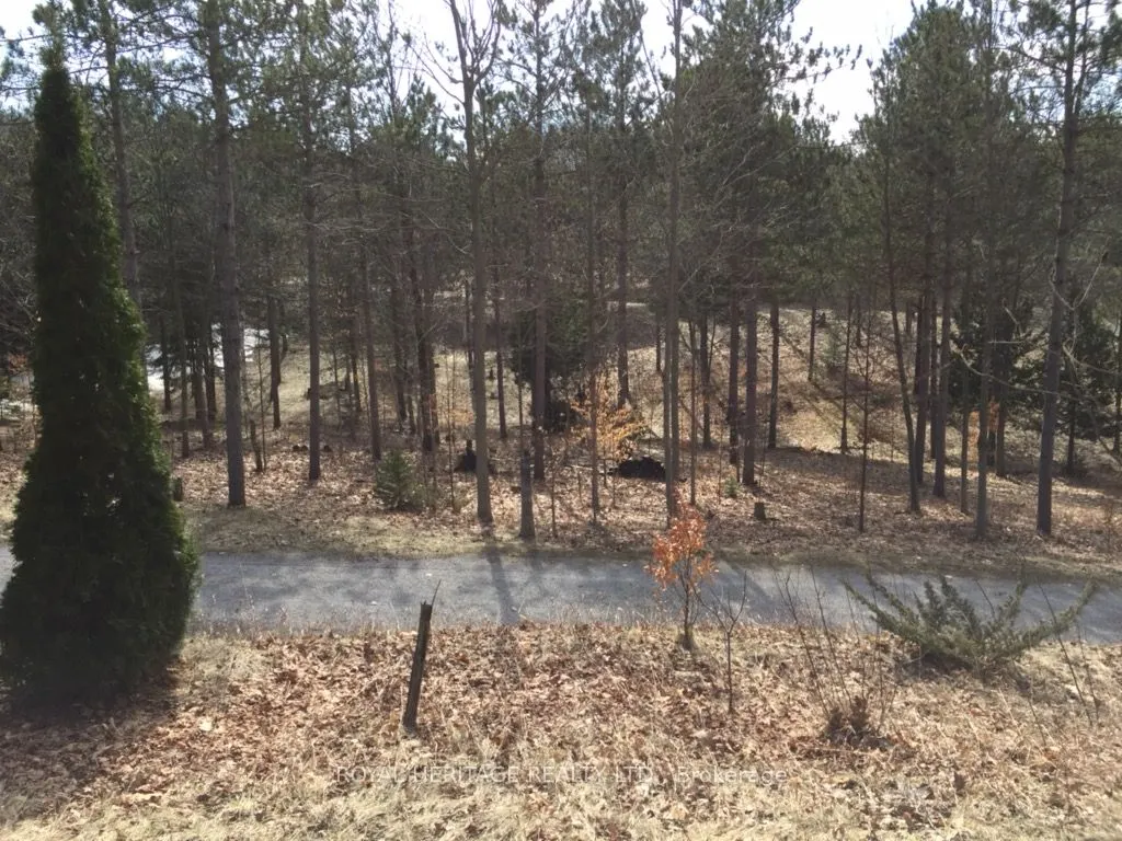 6677 CONCESSION 2 Road