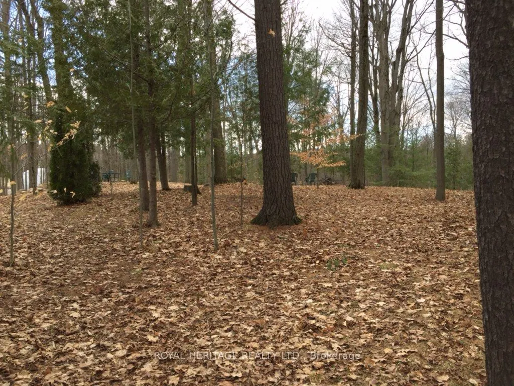 6677 CONCESSION 2 Road