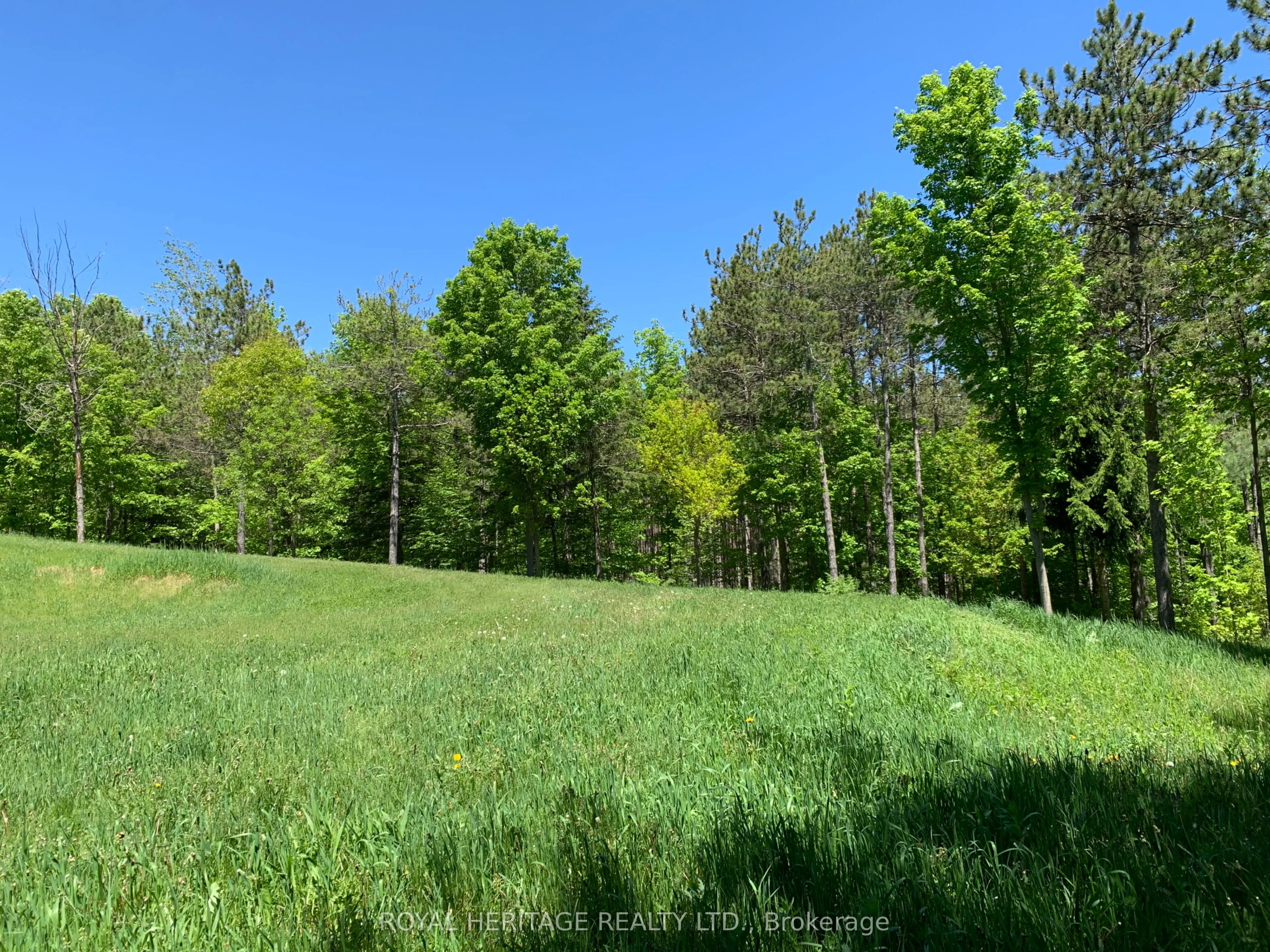 6677 CONCESSION 2 Road