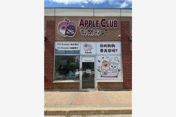 290 Yorktech Drive