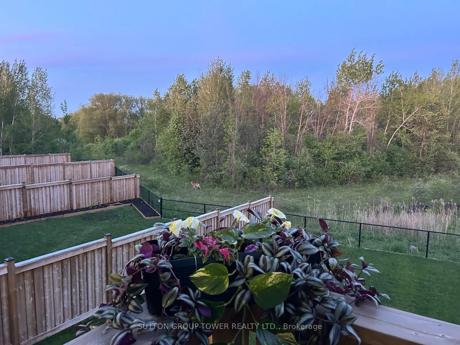 194 Ferragine Crescent