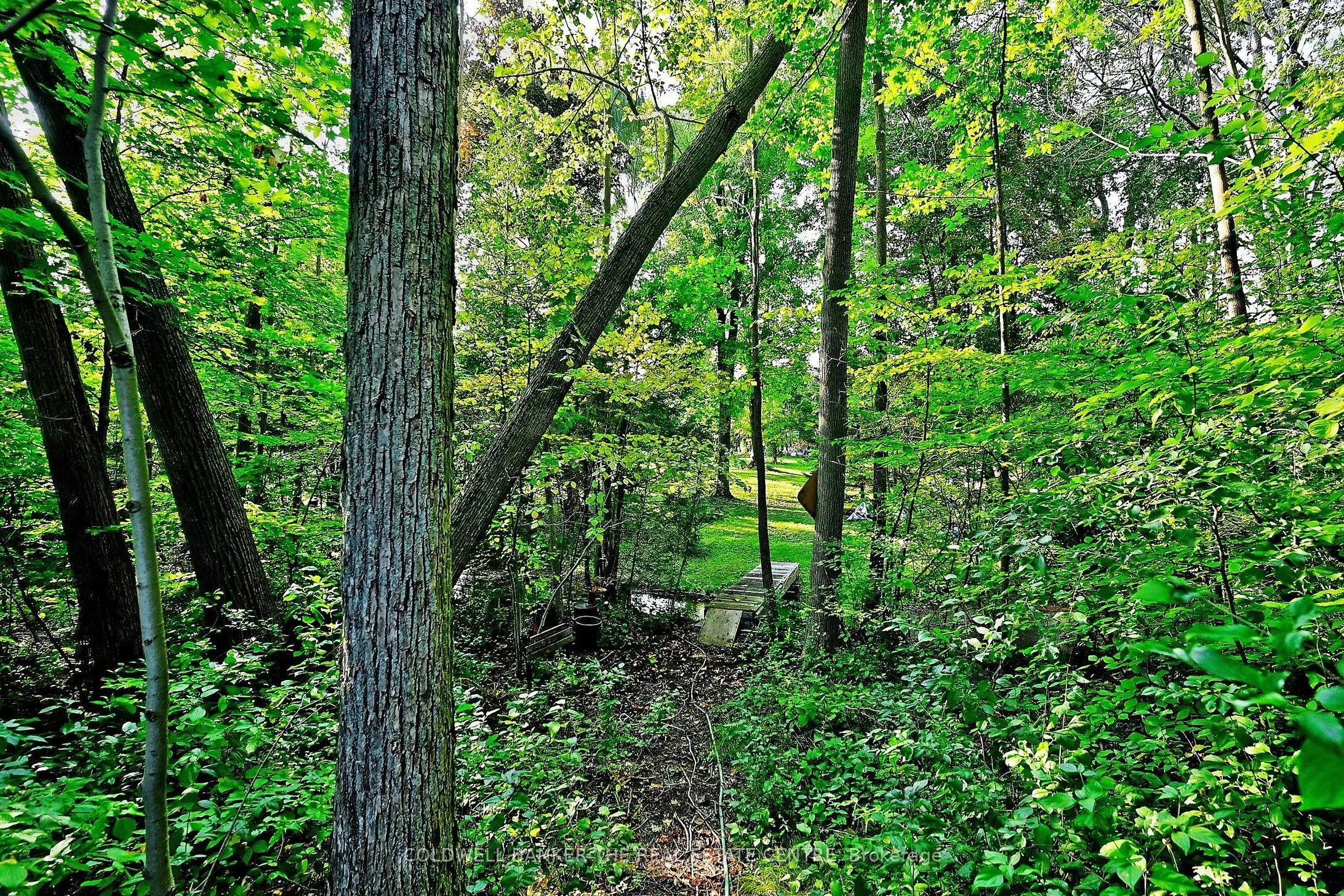 20805 Brock Road