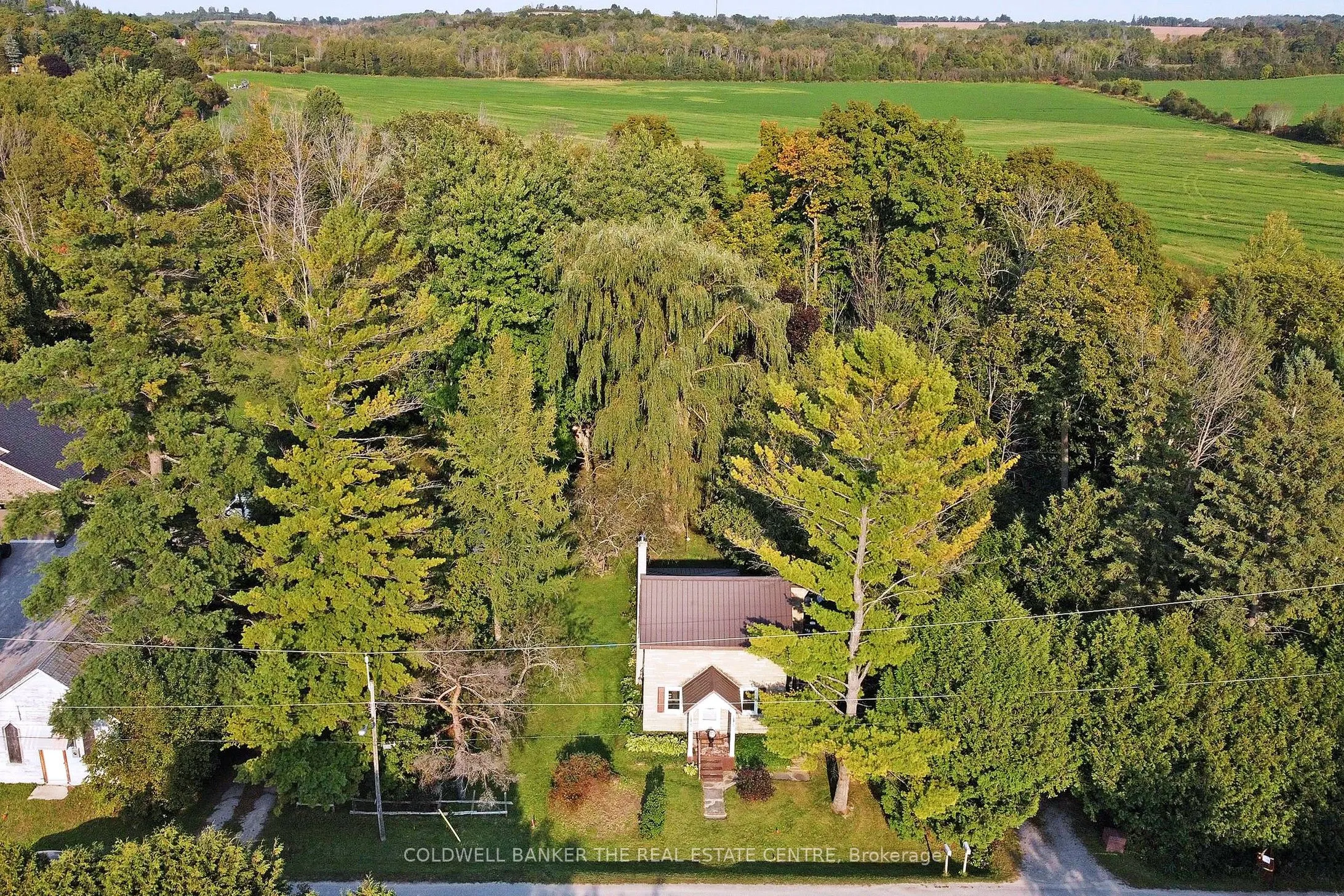 20805 Brock Road