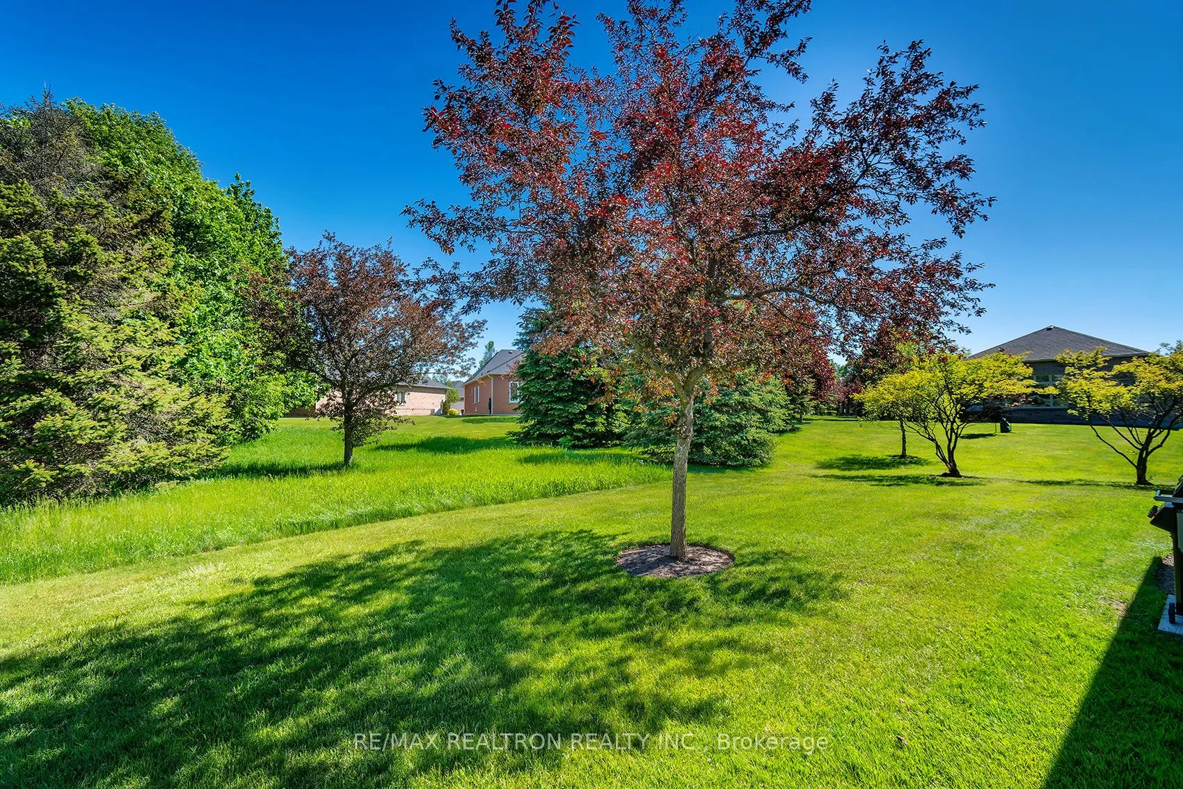 26 Hagen Hollow