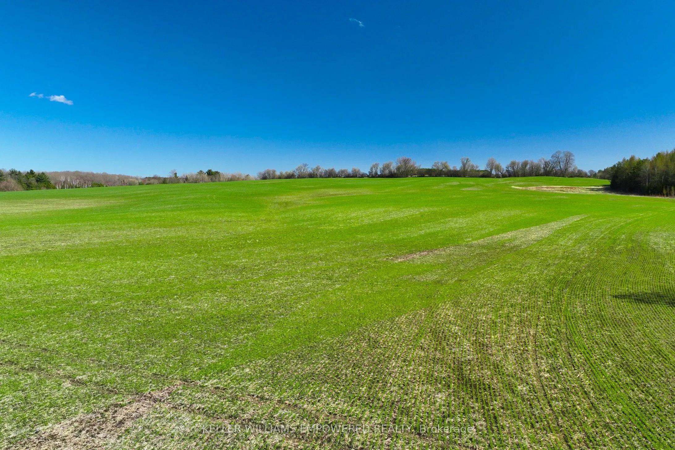 7489 Concession Road 2
