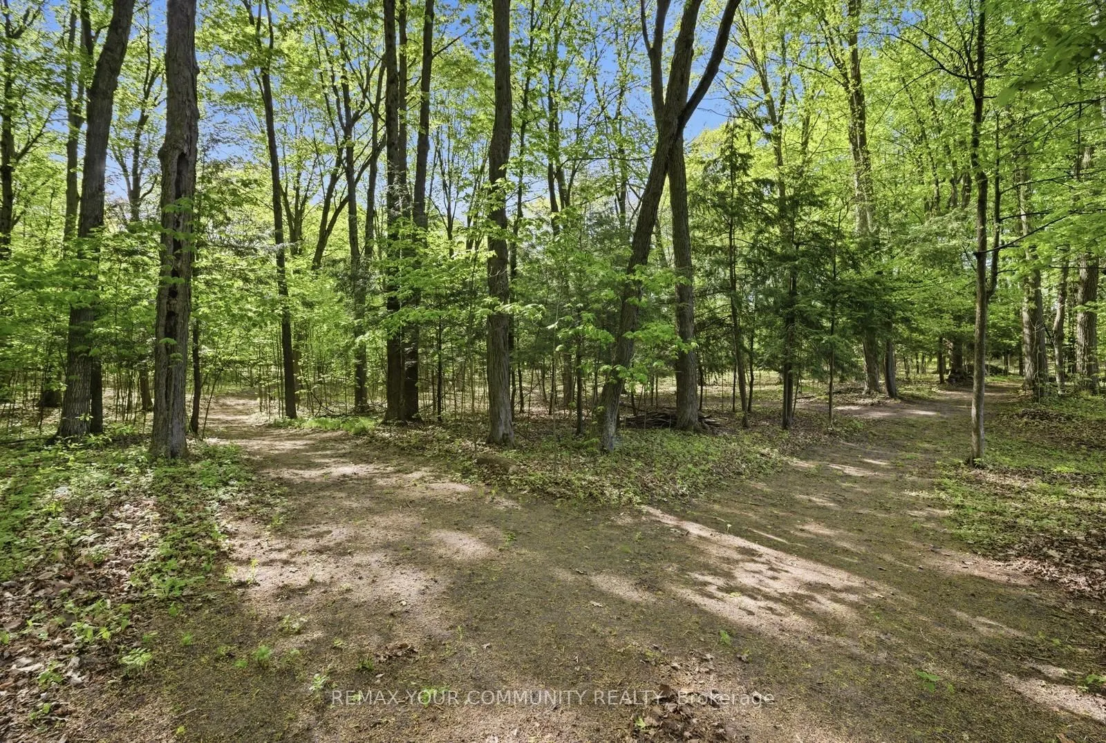 16902 Mccowan Road