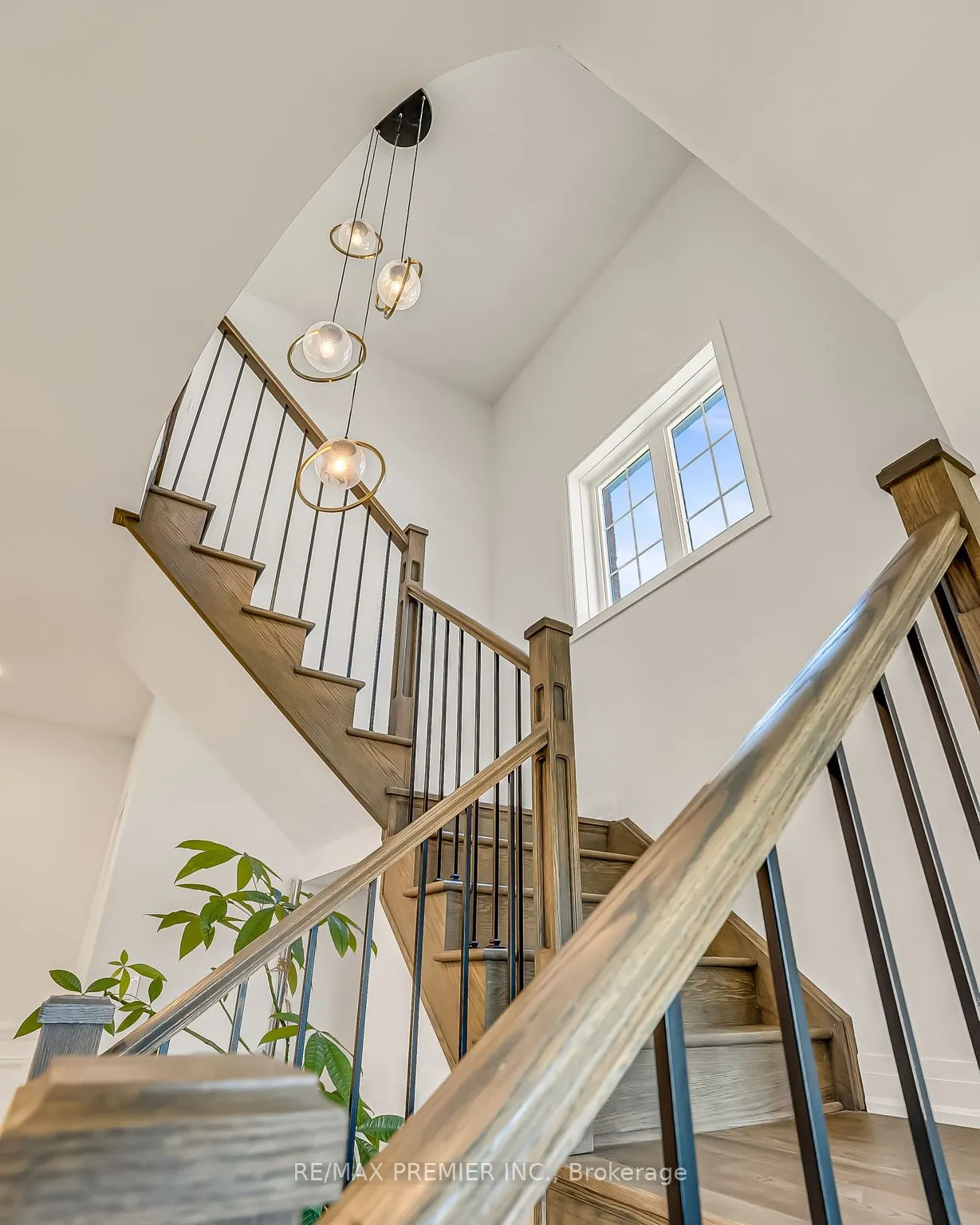 25 Low Boulevard