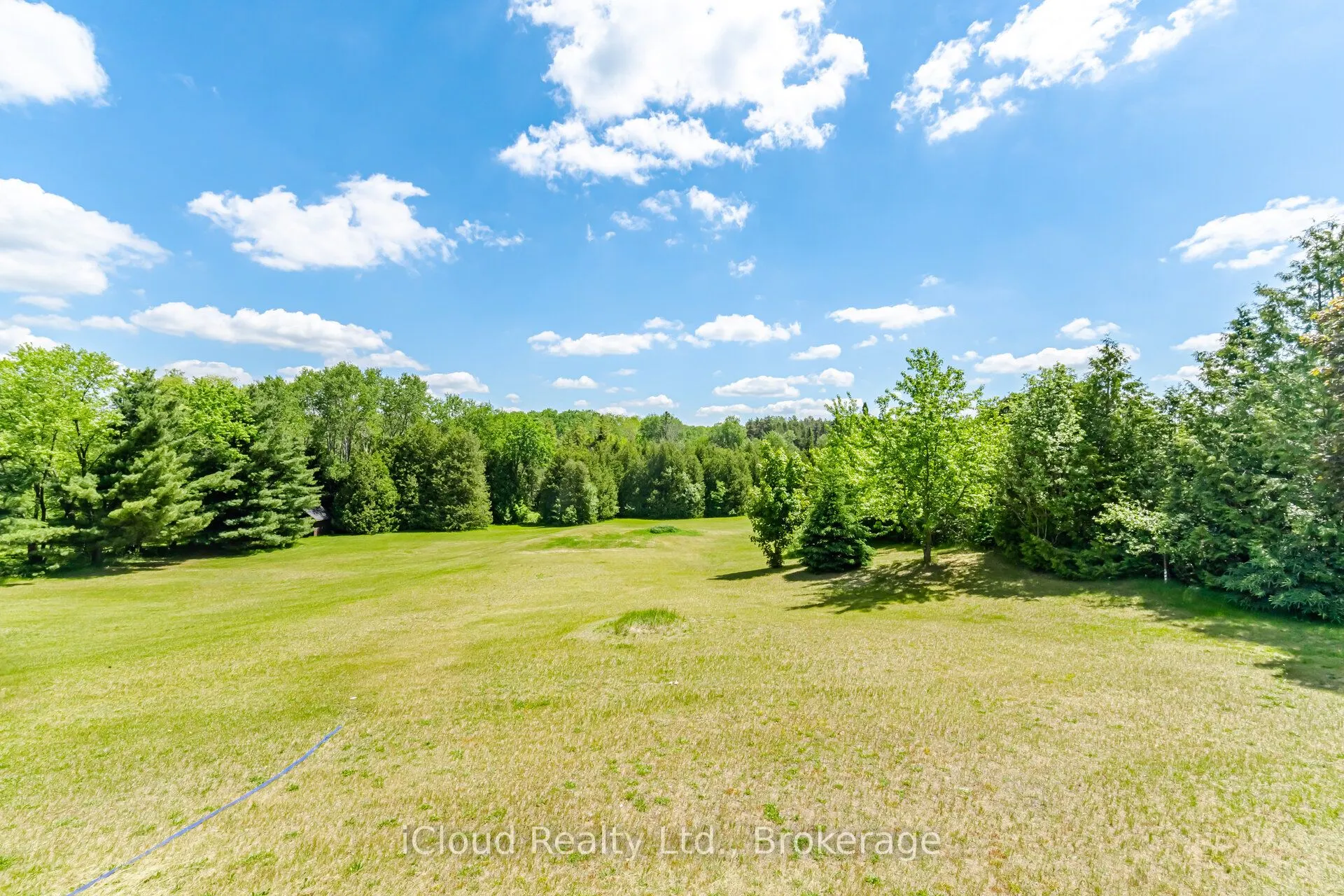 1939 County Road 50