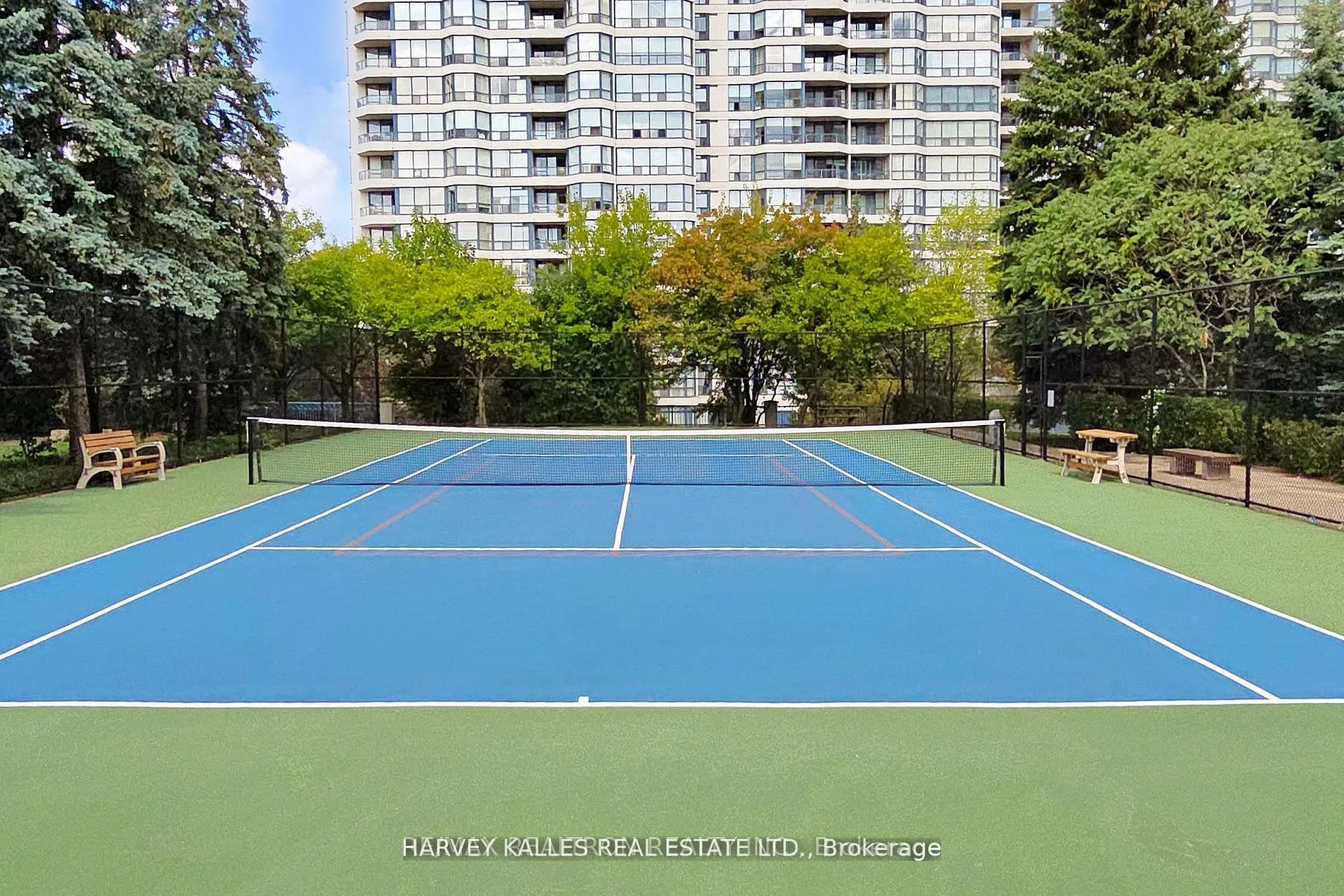 7300 Yonge Street #311