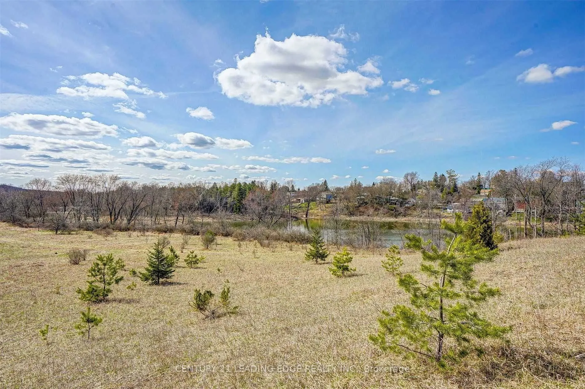 14466 Ninth Line